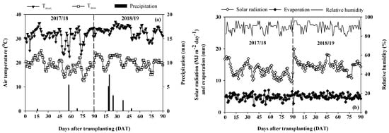 Agronomy | Free Full-Text | The Roles of Net Photosynthetic Rate