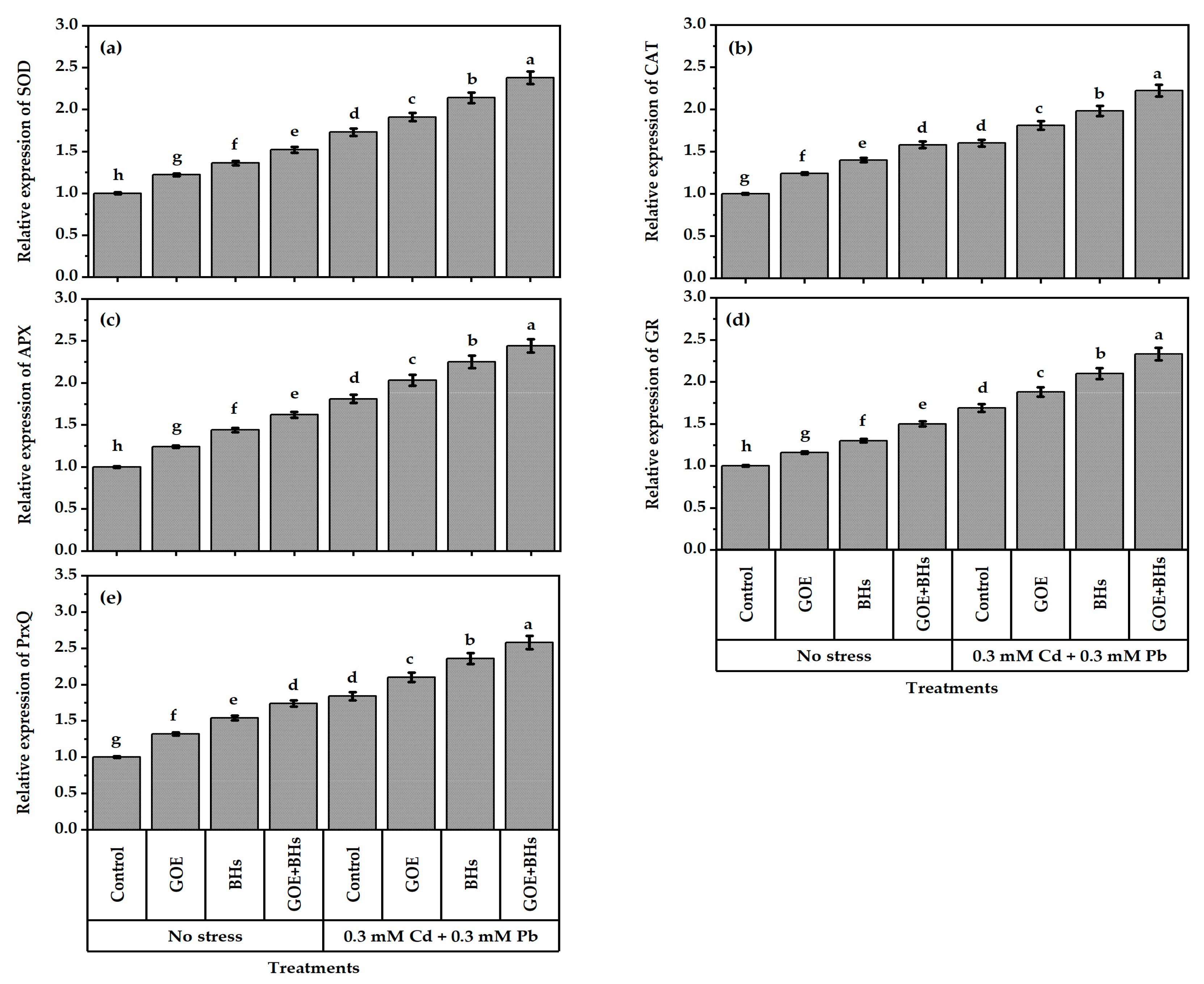 Agronomy 13 01916 g007