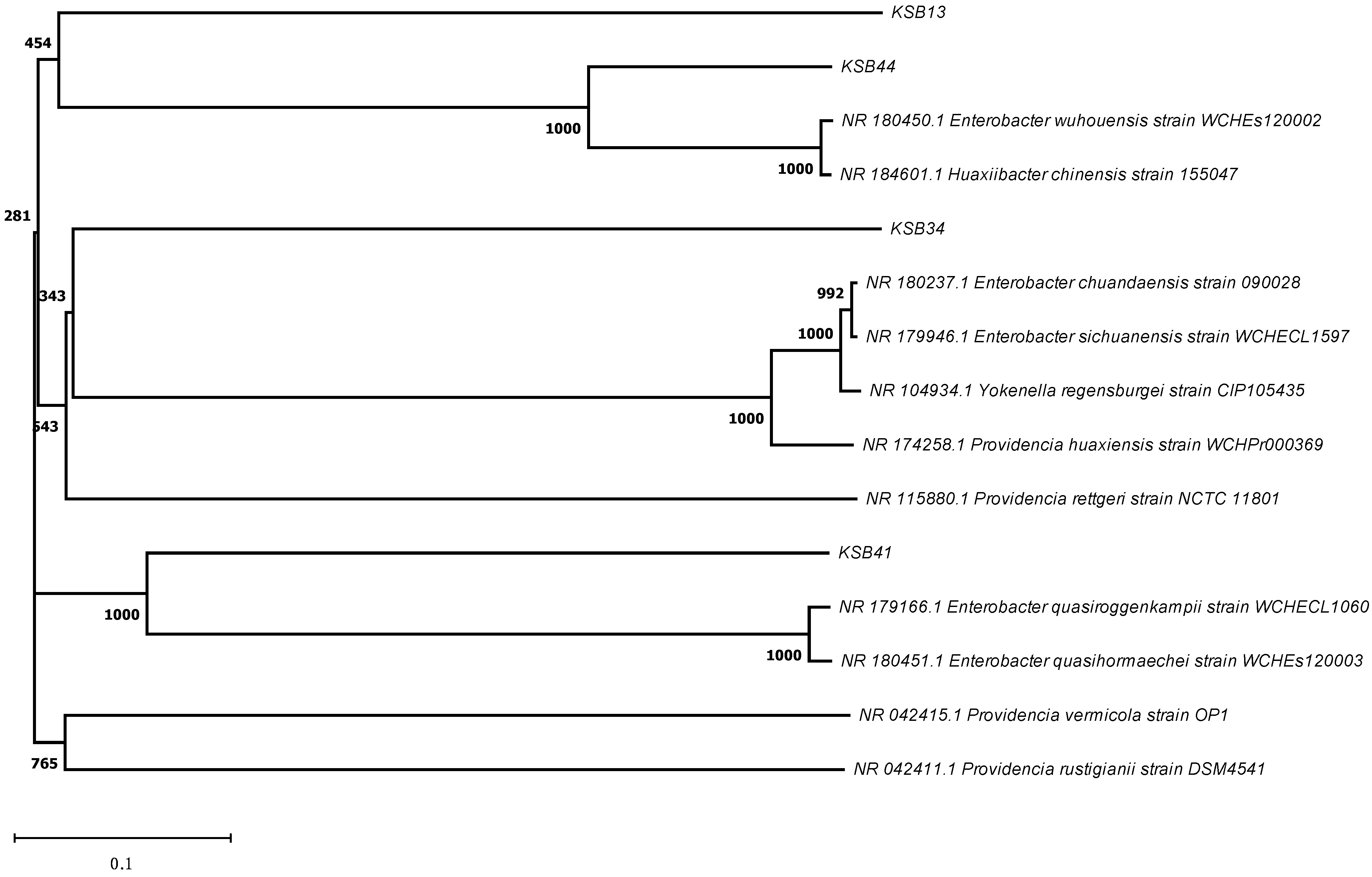 Agronomy 13 01919 g003 Agronomy 13 01919 g003