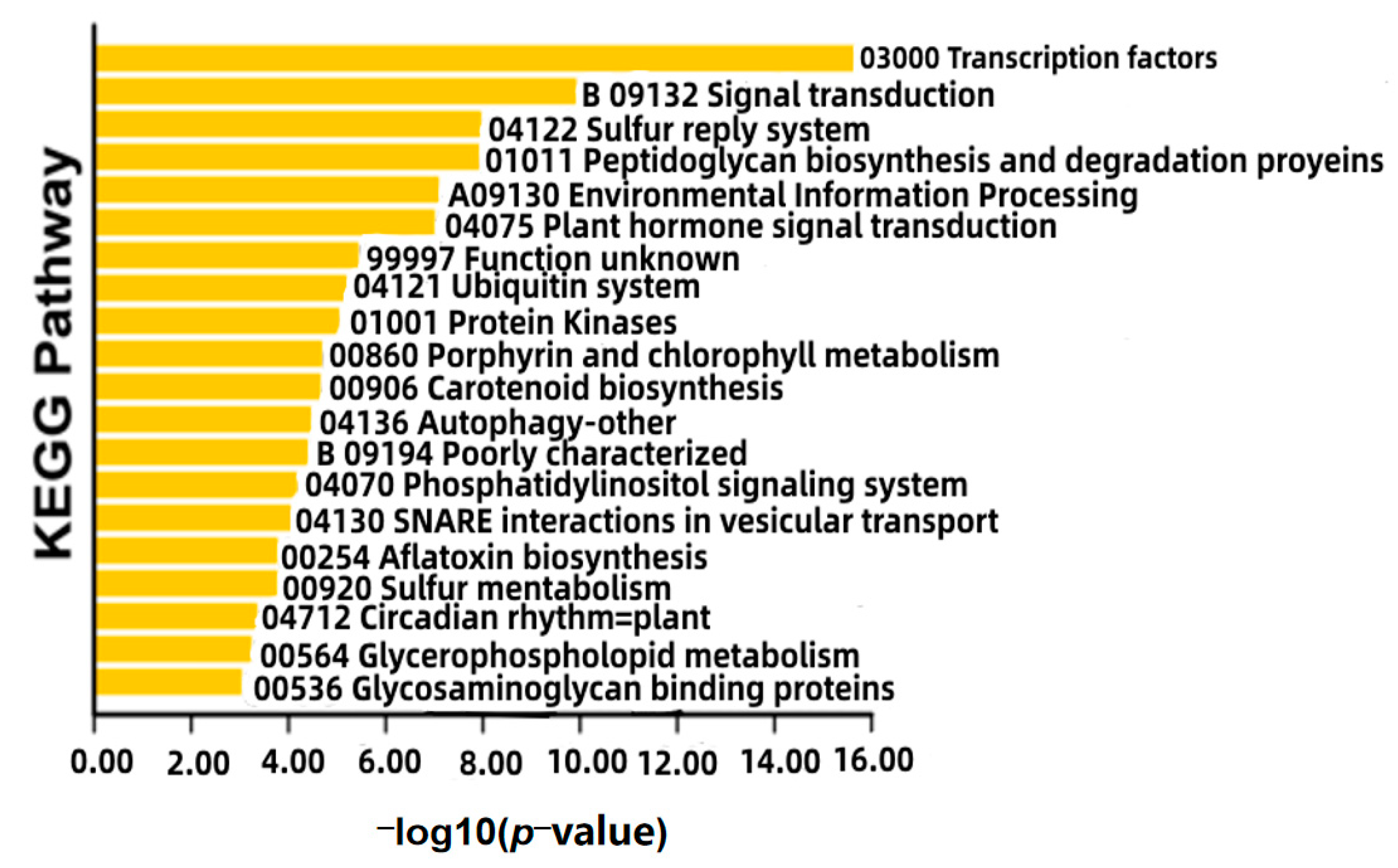 Agronomy 13 01946 g003 Agronomy 13 01946 g003