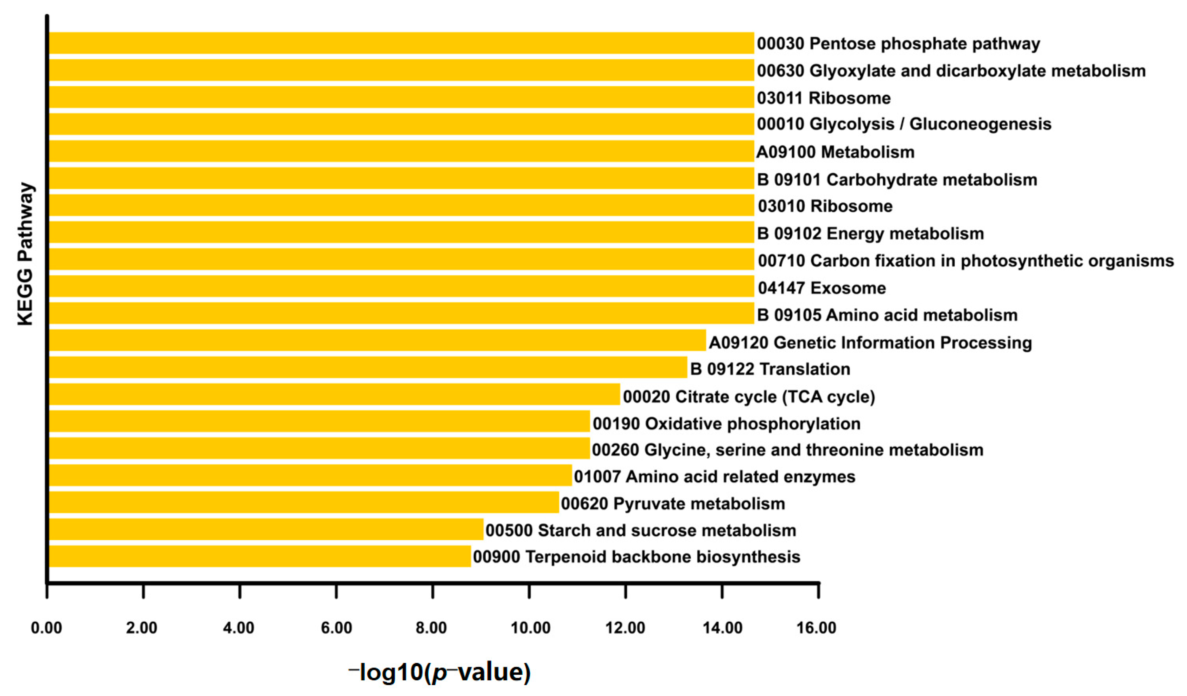 Agronomy 13 01946 g005 Agronomy 13 01946 g005