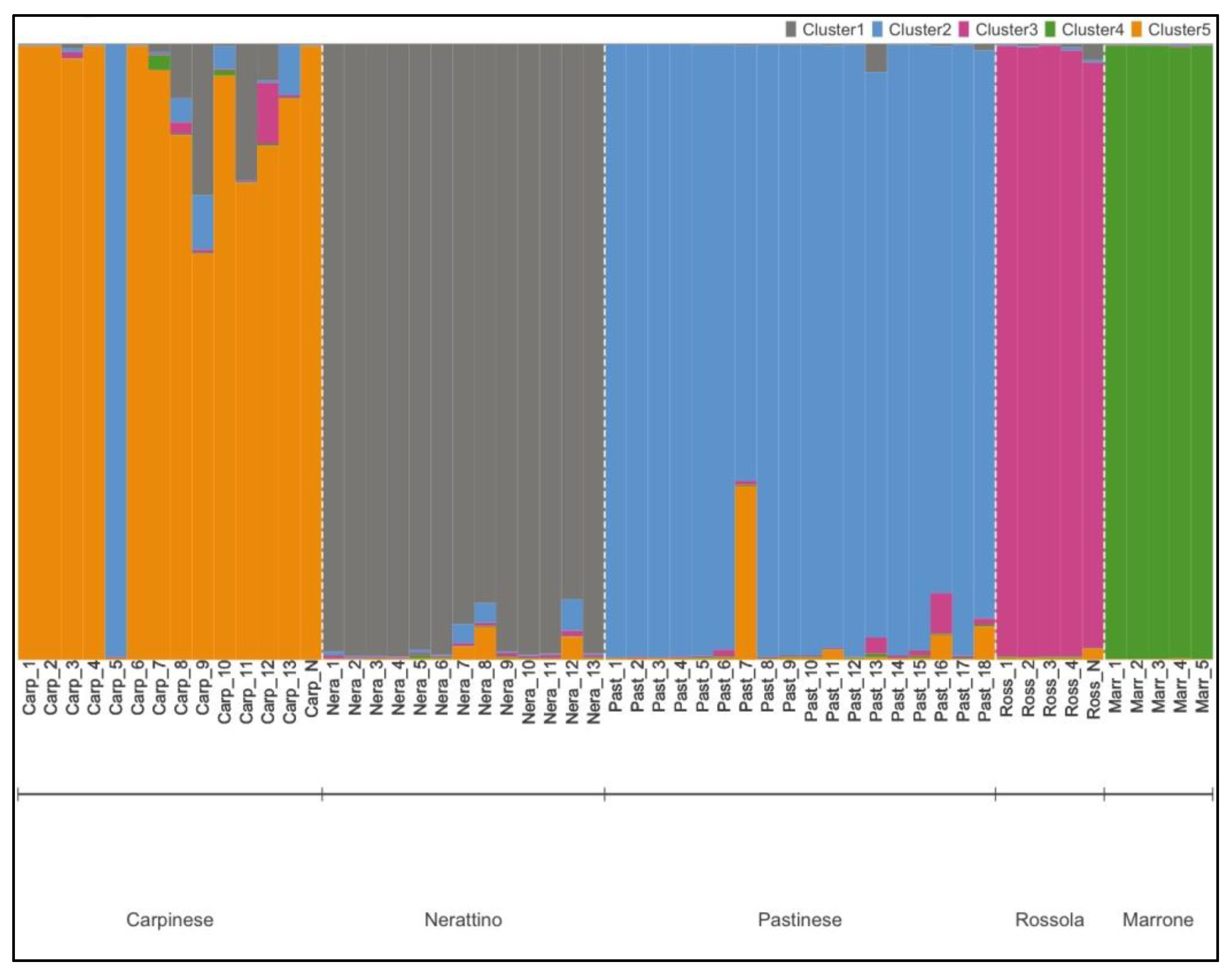 Agronomy 13 01947 g001 Agronomy 13 01947 g001