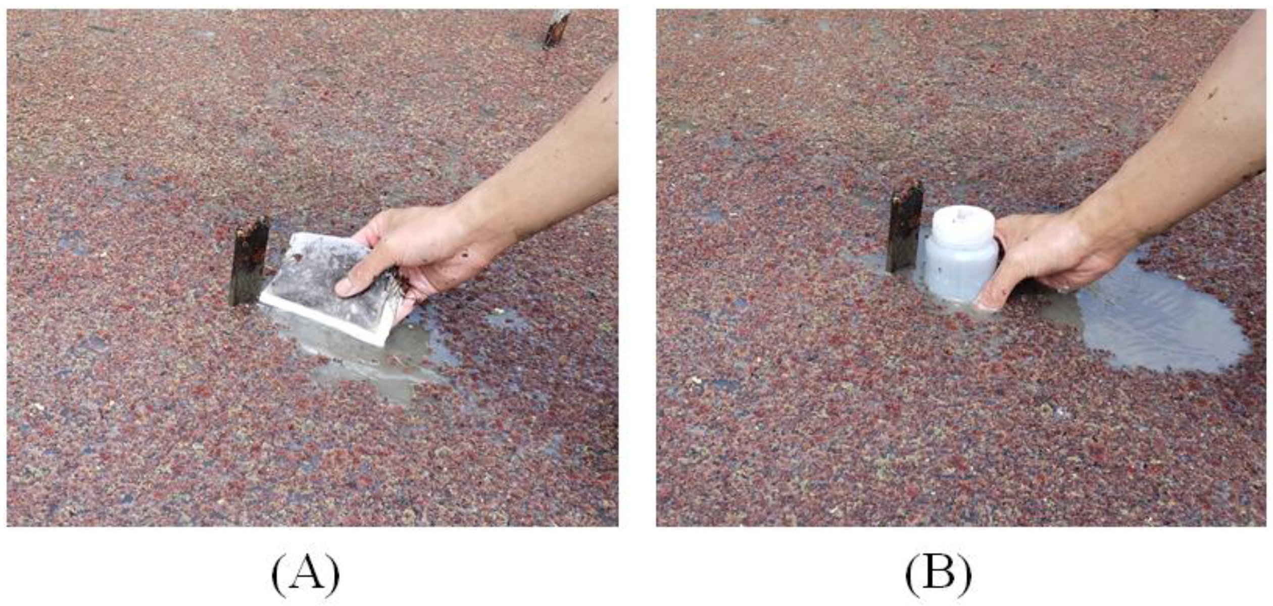 Agronomy 13 01968 g001