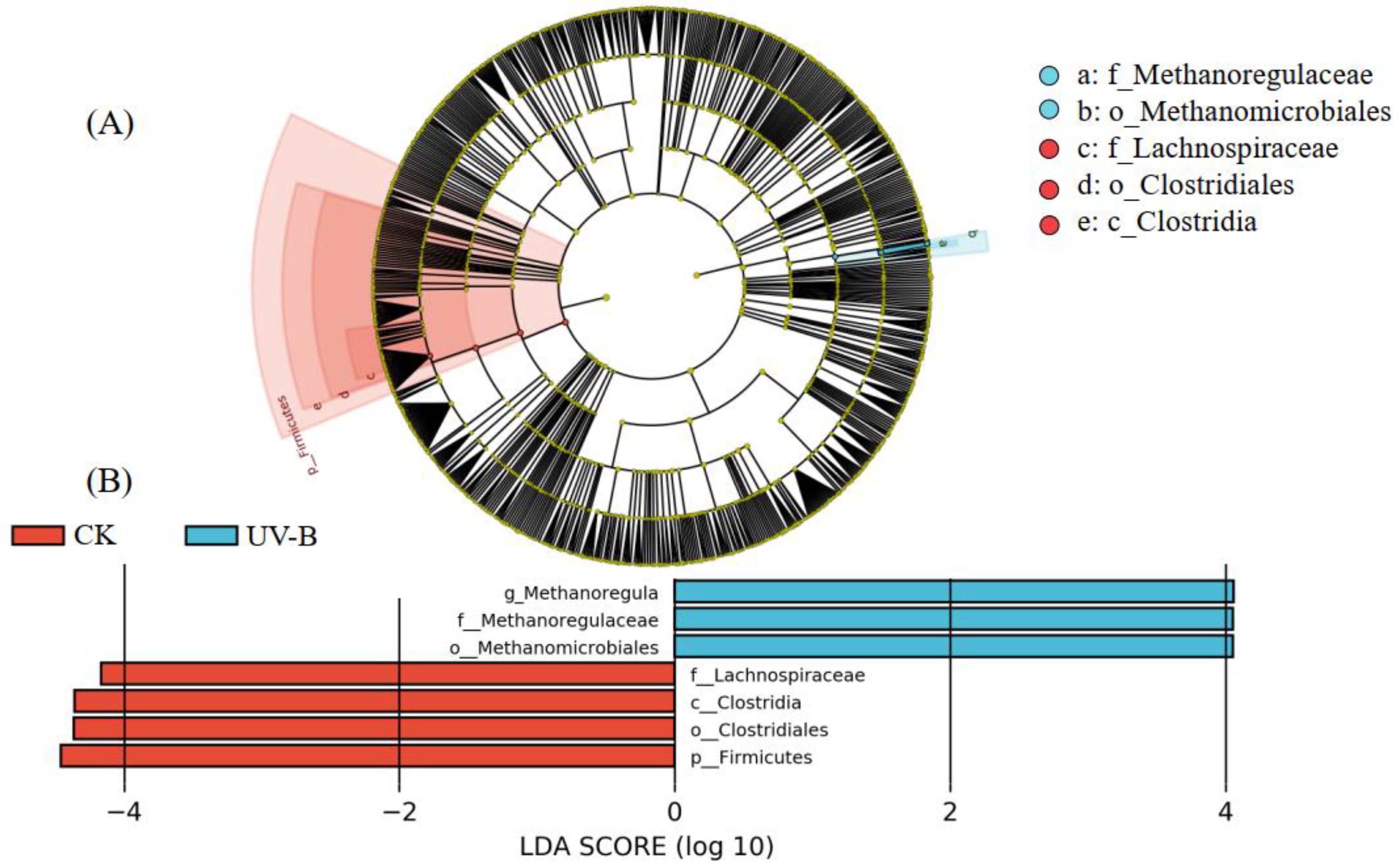 Agronomy 13 01968 g007