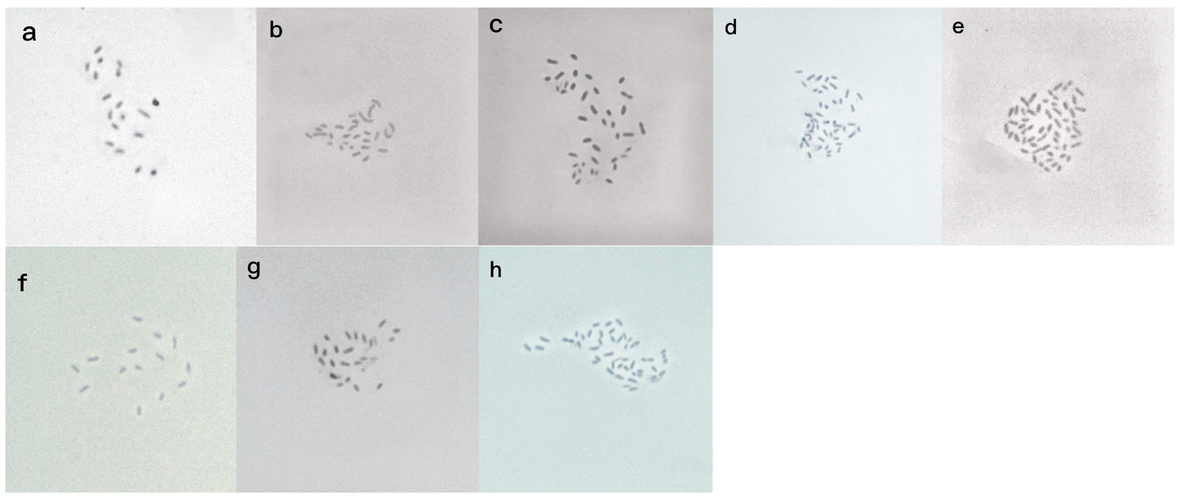 Agronomy 13 01984 g005 Agronomy 13 01984 g005
