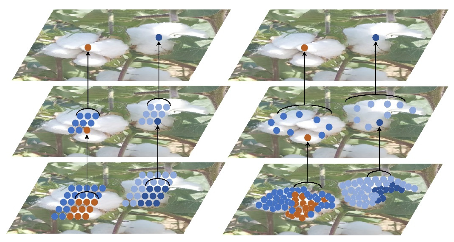 Agronomy 13 01988 g008 Agronomy 13 01988 g008