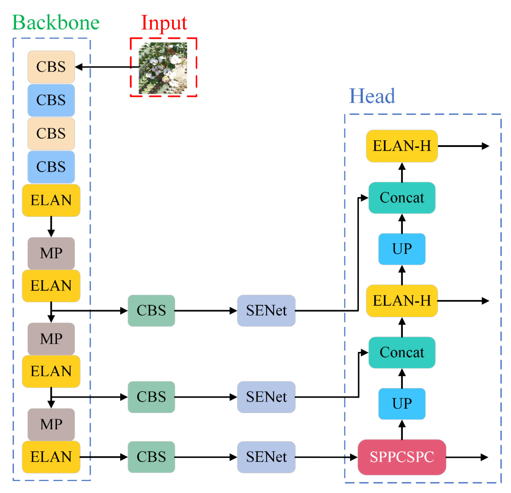 Agronomy 13 01988 g011 Agronomy 13 01988 g011