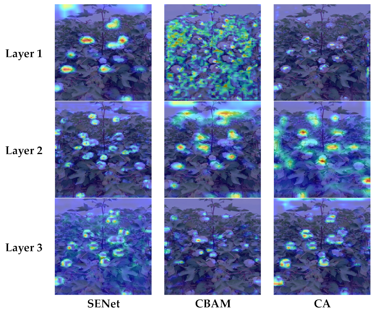 Agronomy 13 01988 g012 Agronomy 13 01988 g012