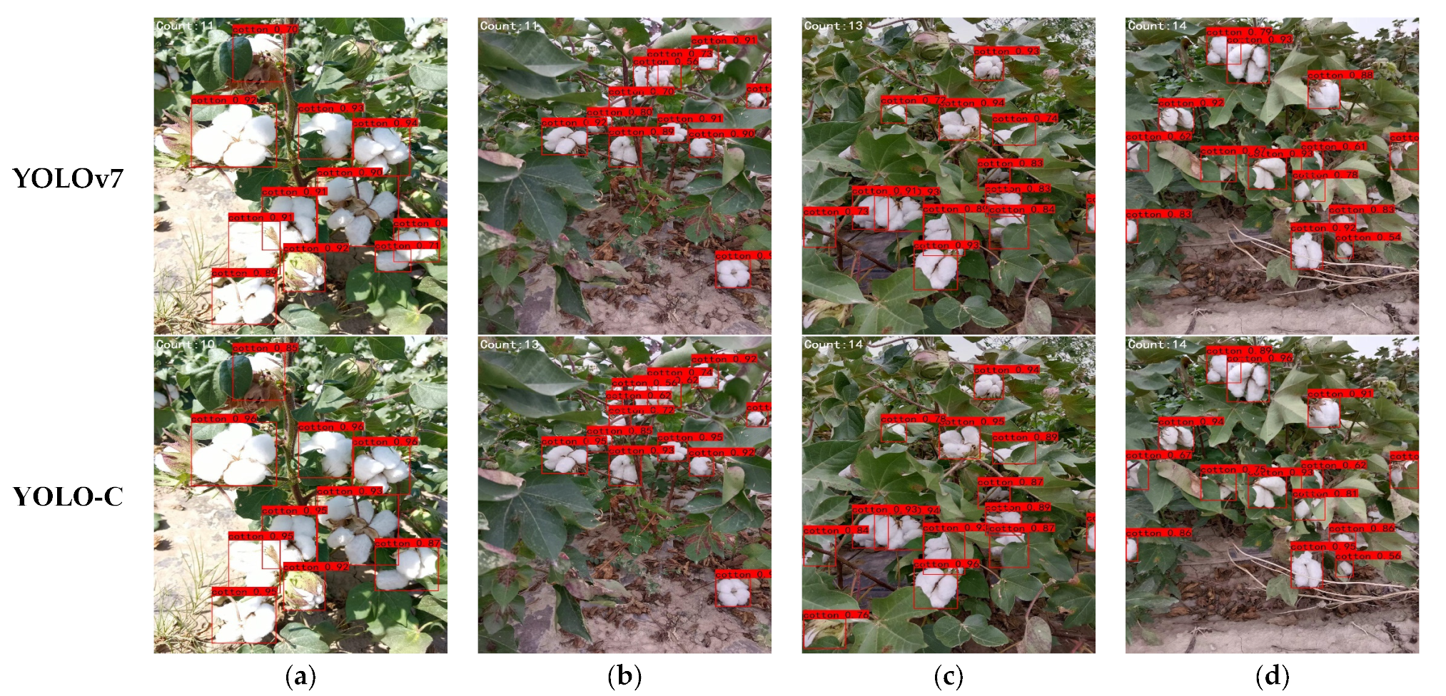 Agronomy 13 01988 g014 Agronomy 13 01988 g014
