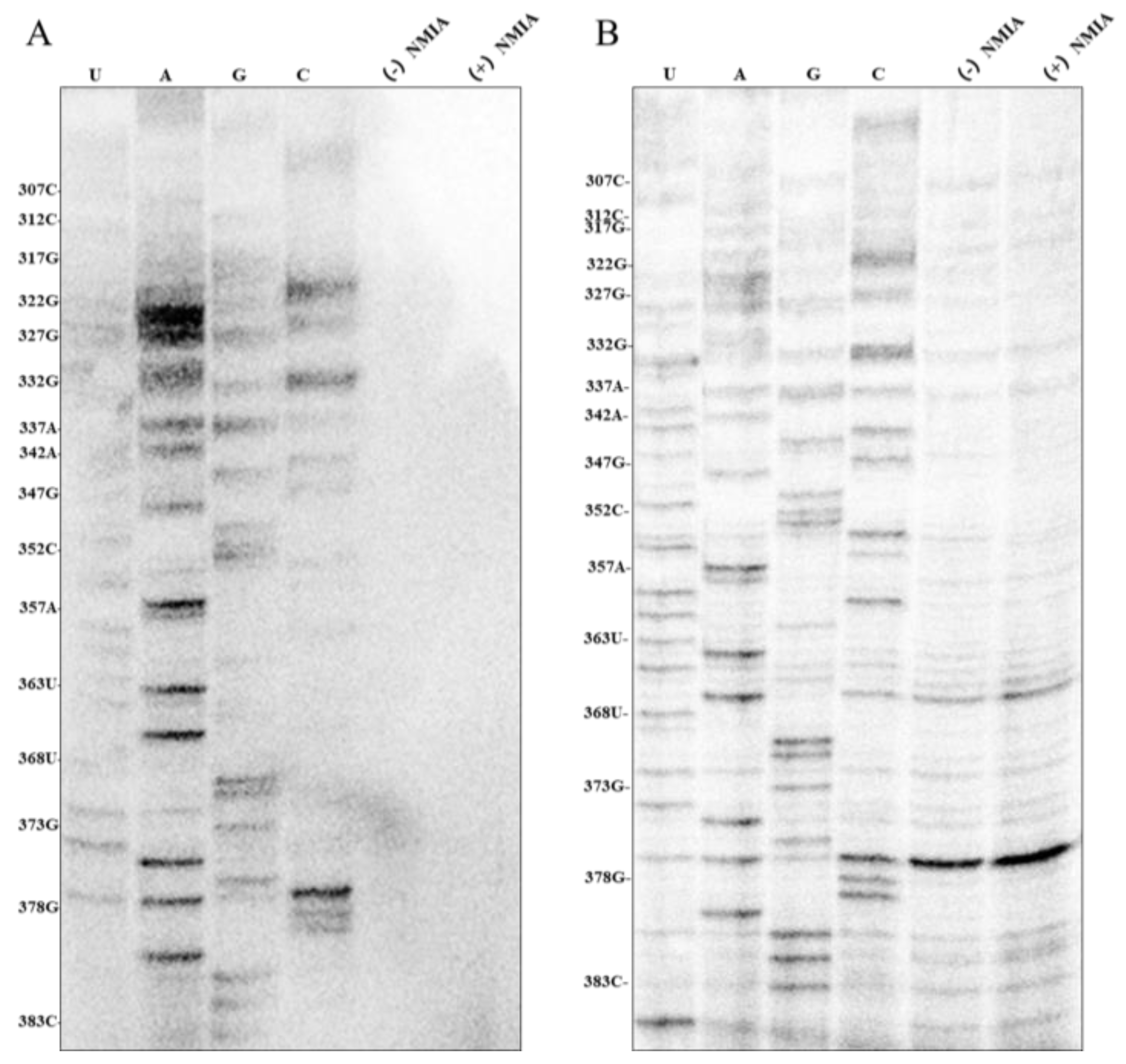 Agronomy 13 01990 g001 Agronomy 13 01990 g001