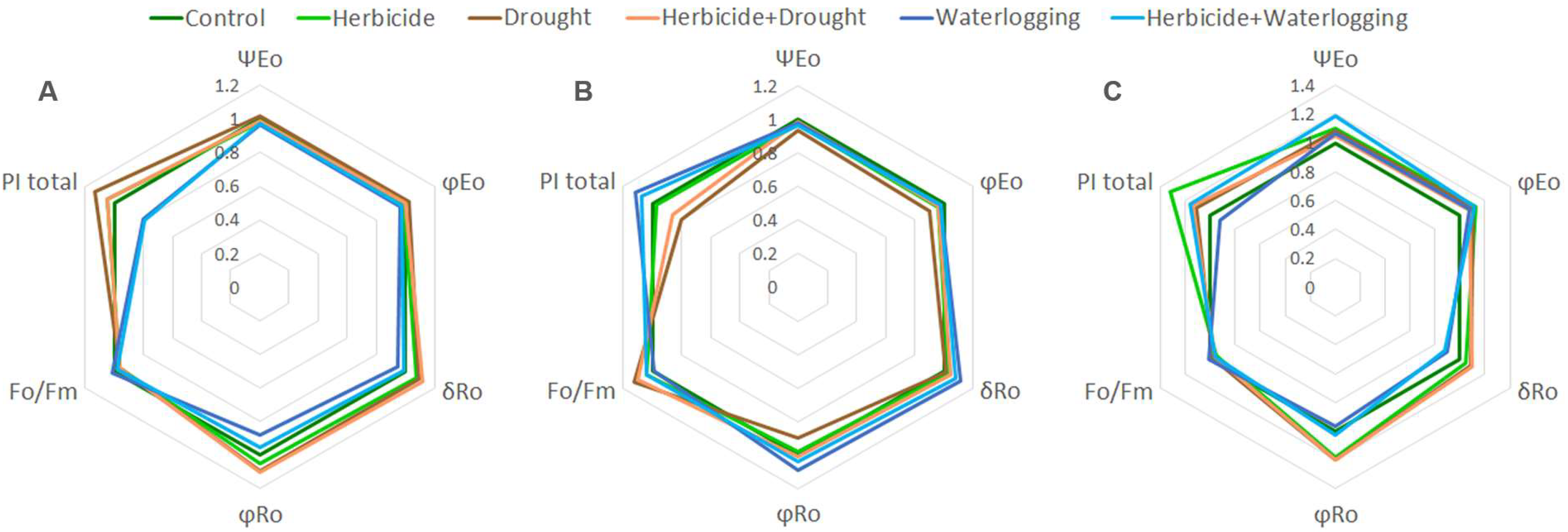 Agronomy 13 01992 g005 Agronomy 13 01992 g005