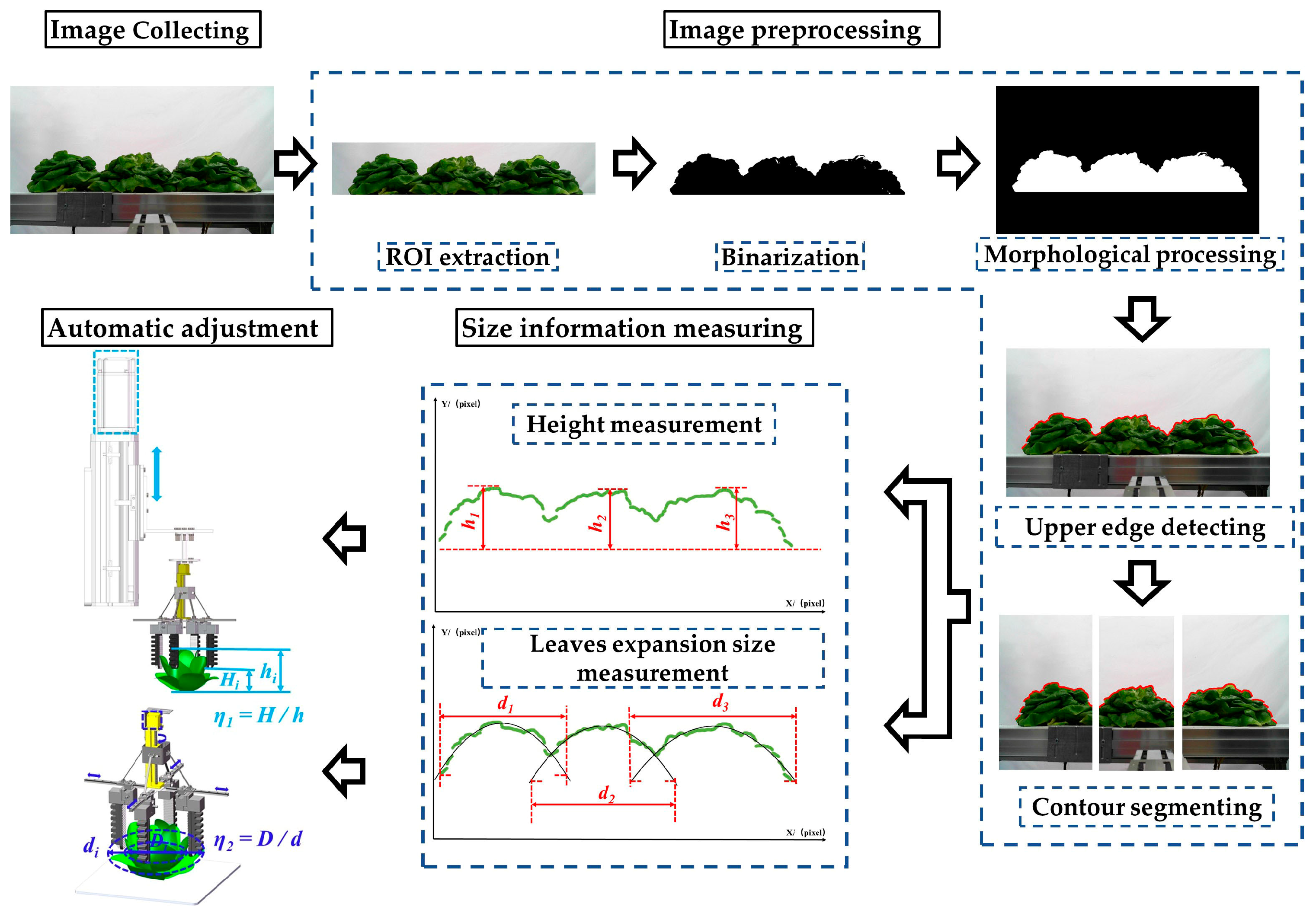 Agronomy 13 01996 g003