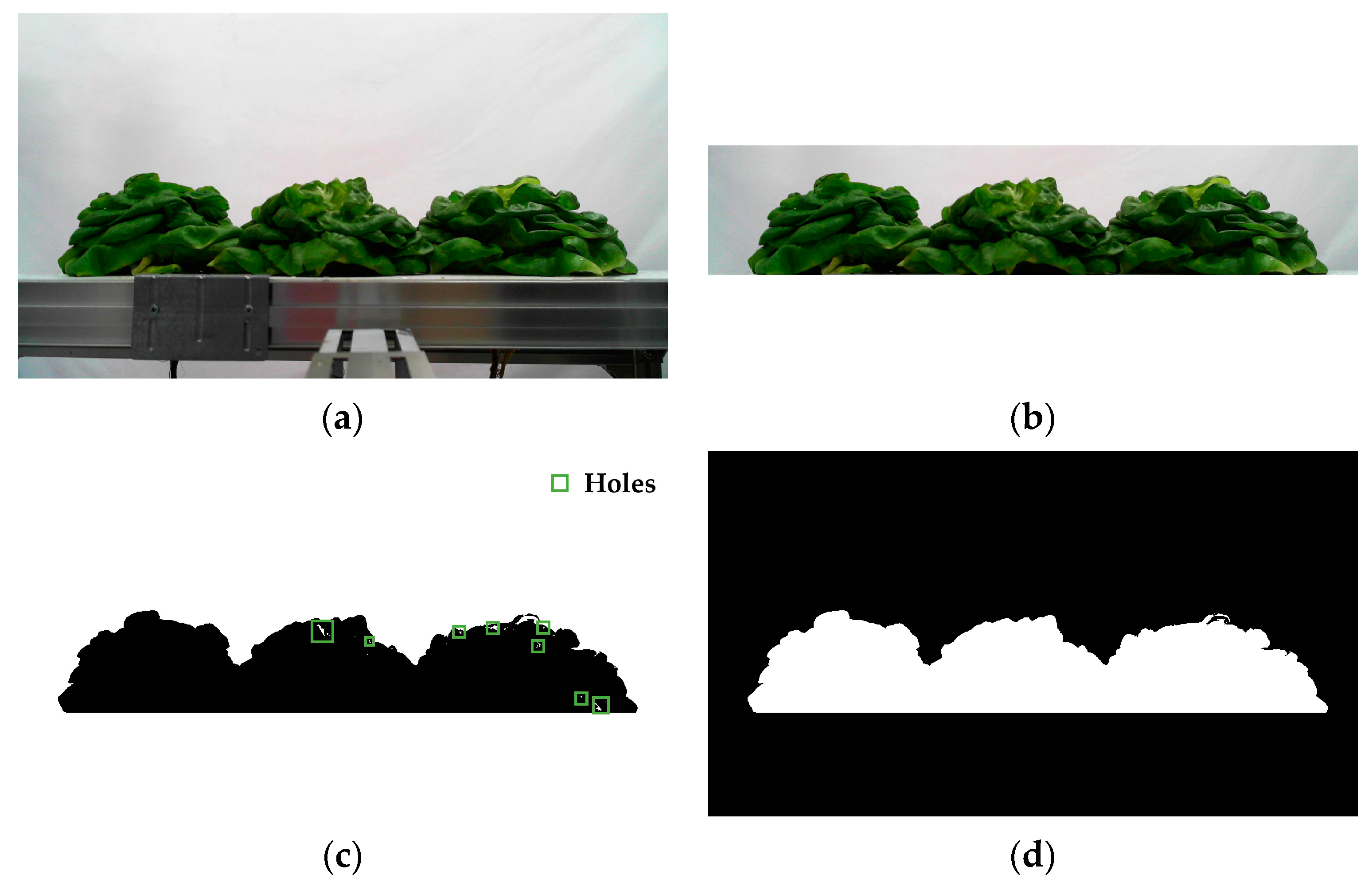 Agronomy 13 01996 g005