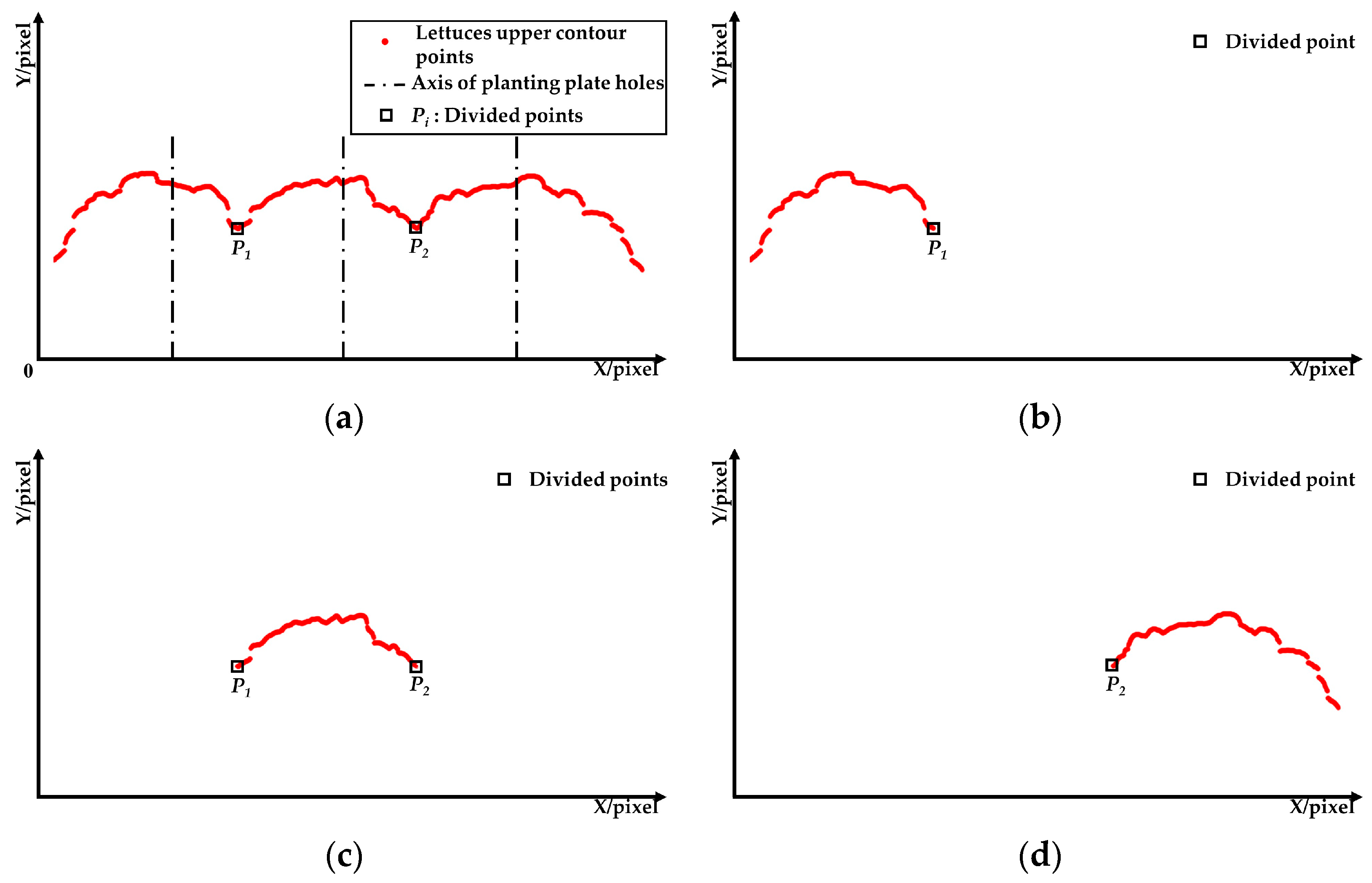 Agronomy 13 01996 g007