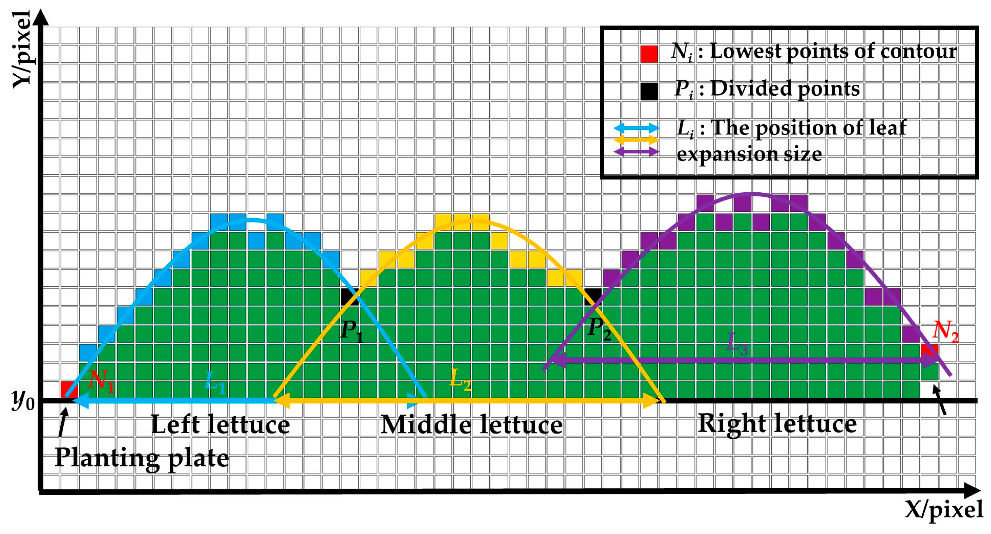 Agronomy 13 01996 g009