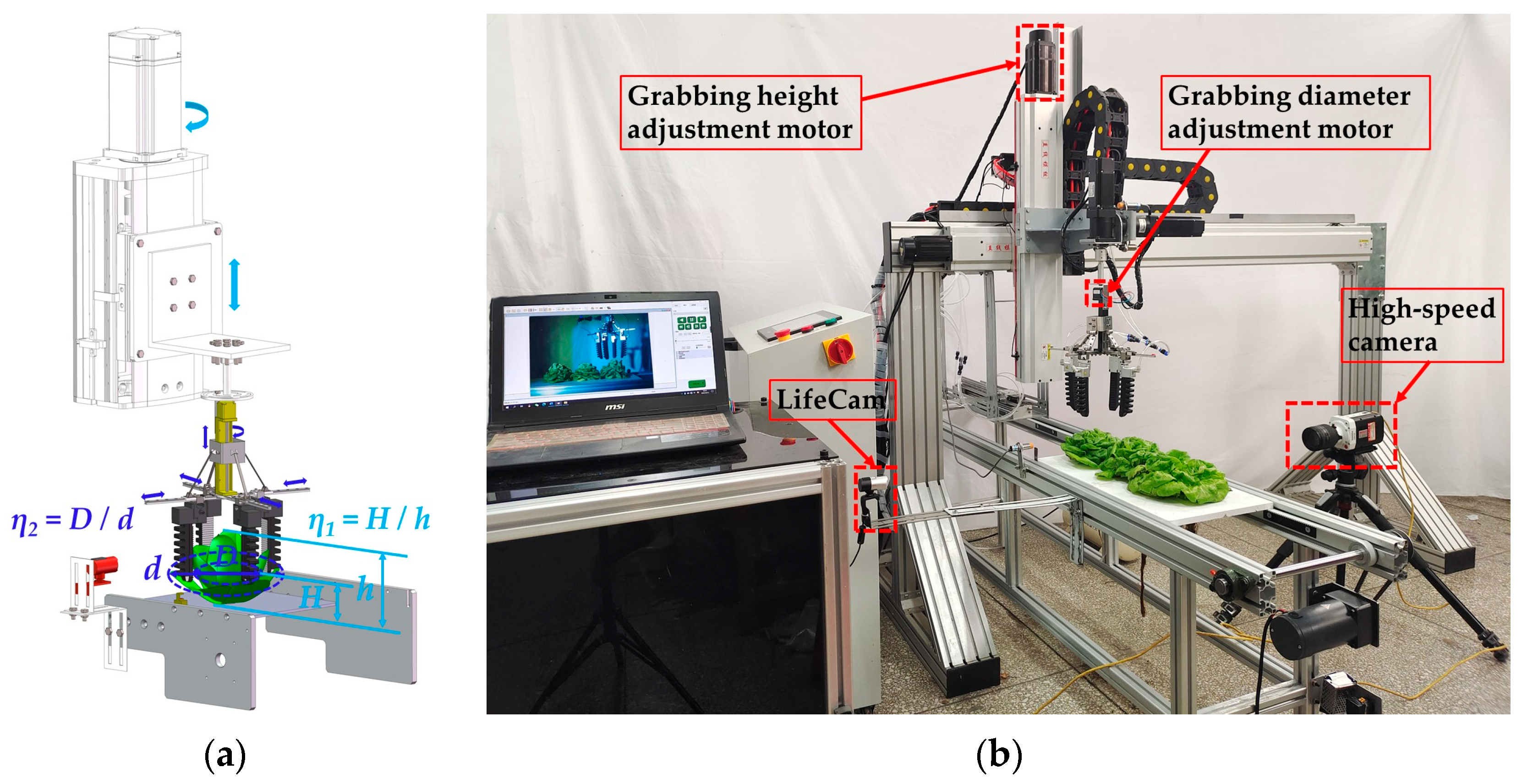 Agronomy 13 01996 g011