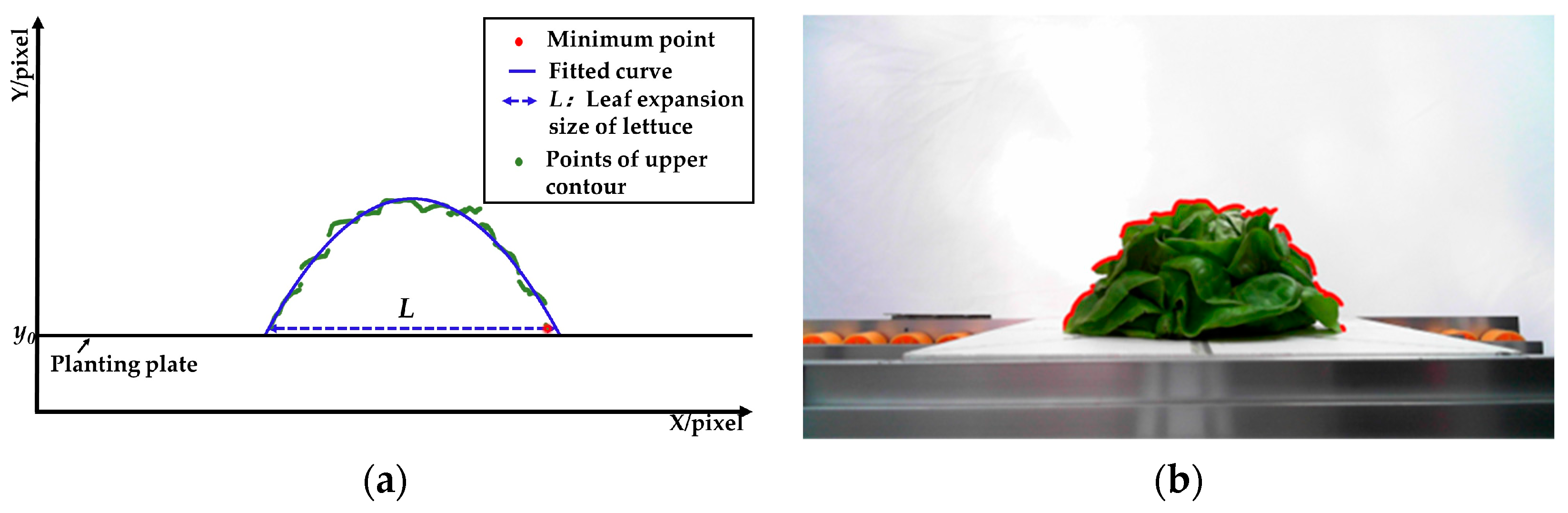 Agronomy 13 01996 g017
