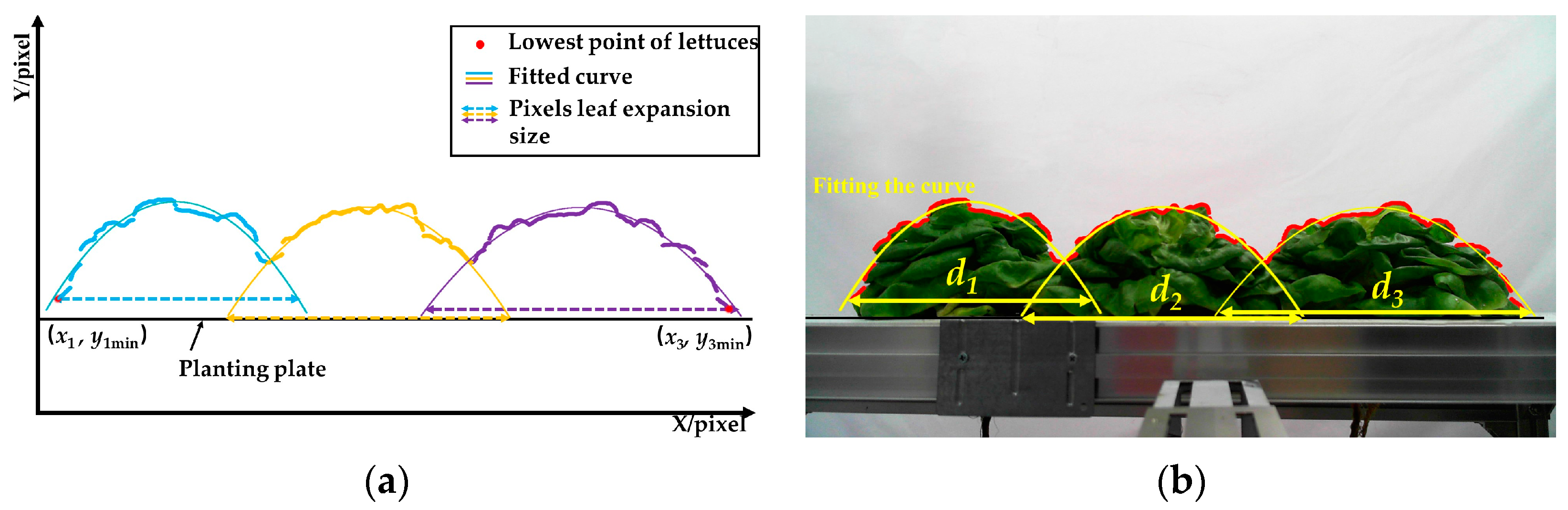 Agronomy 13 01996 g018