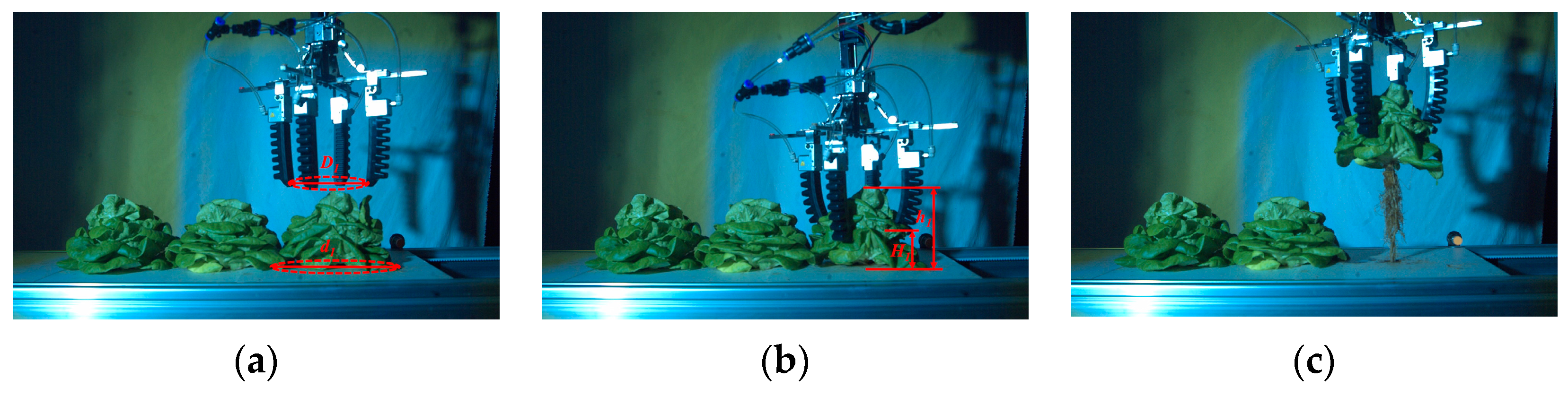 Agronomy 13 01996 g022