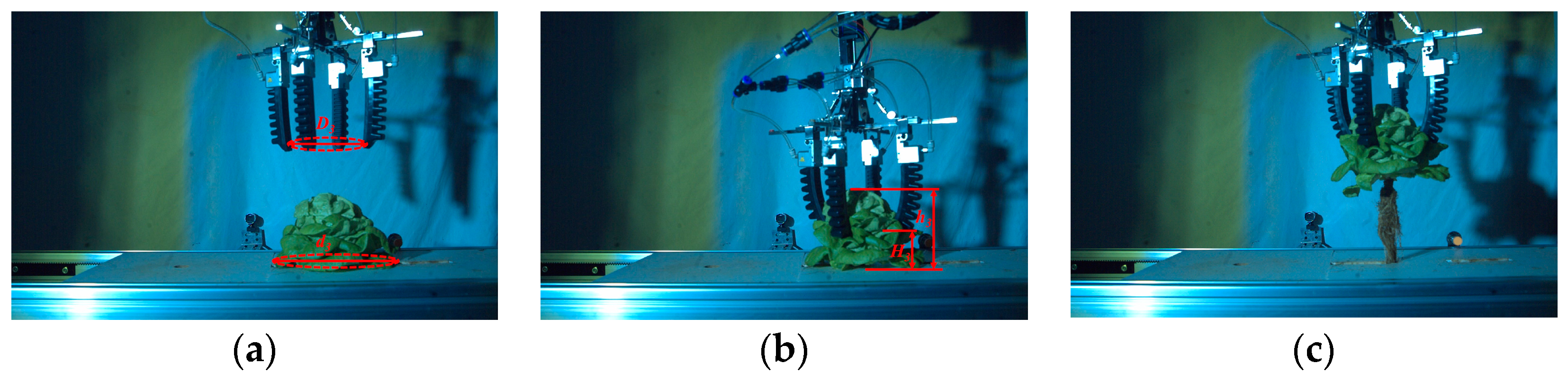 Agronomy 13 01996 g024
