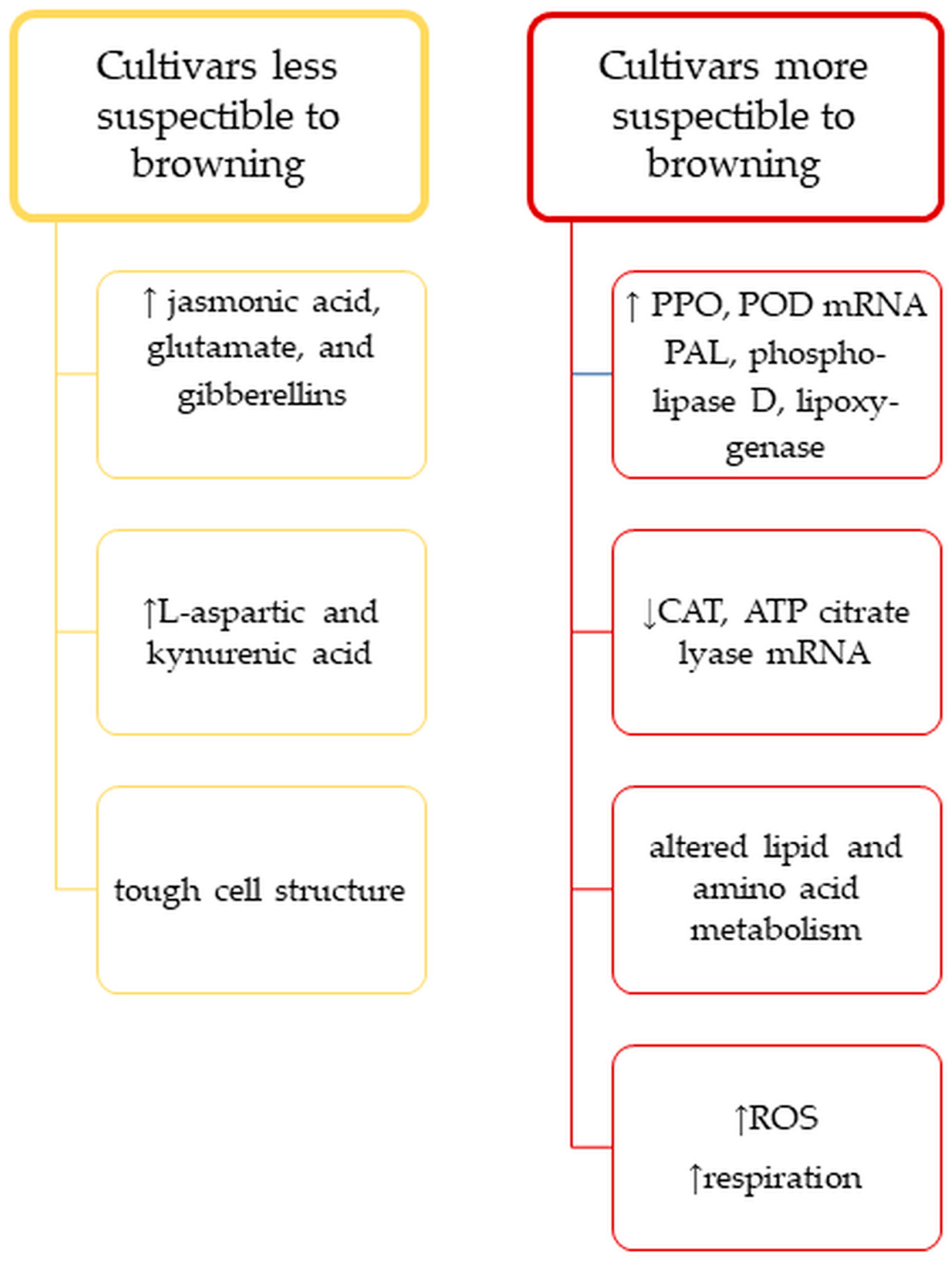 Agronomy 13 02002 g002
