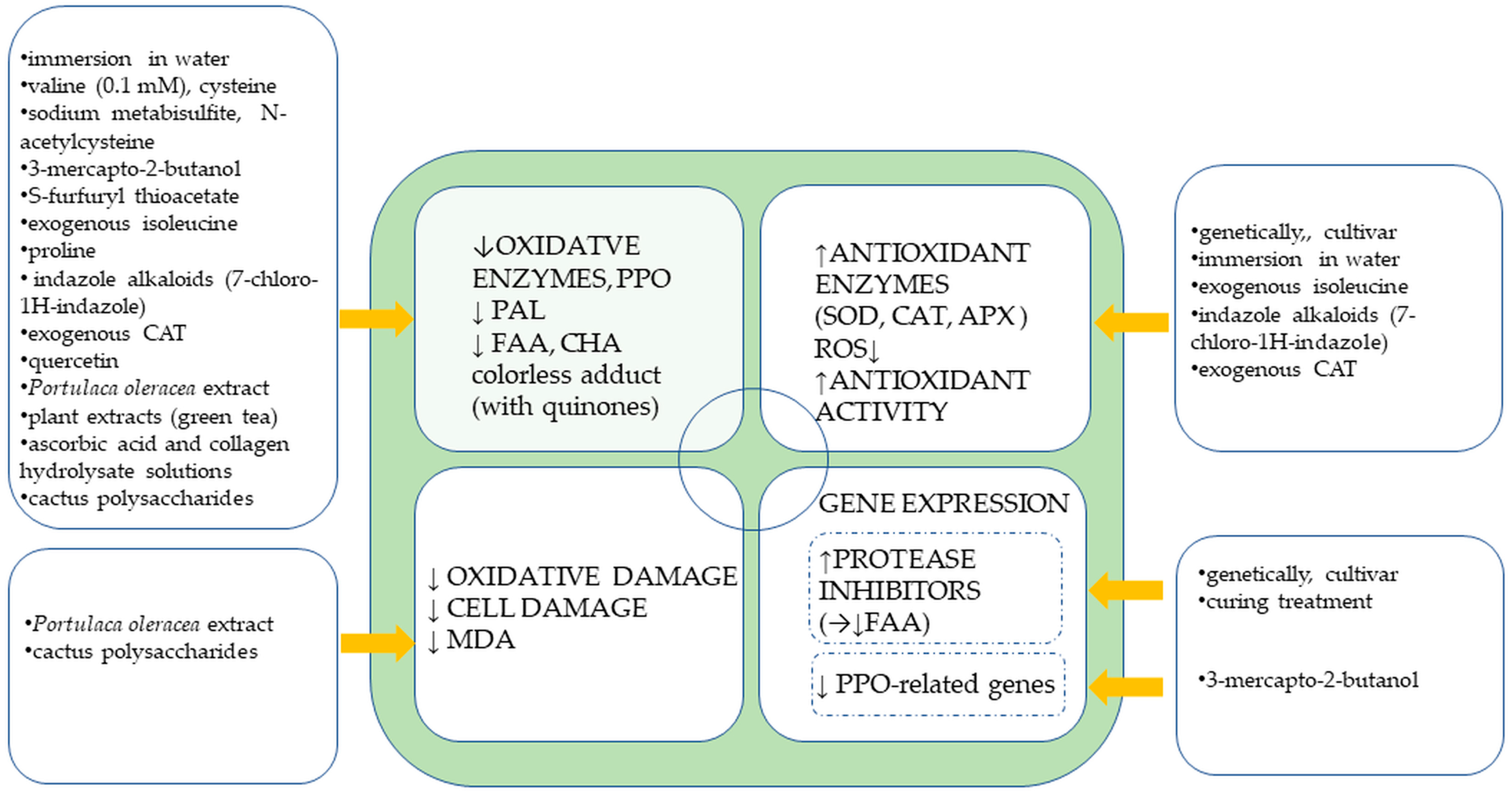 Agronomy 13 02002 g004