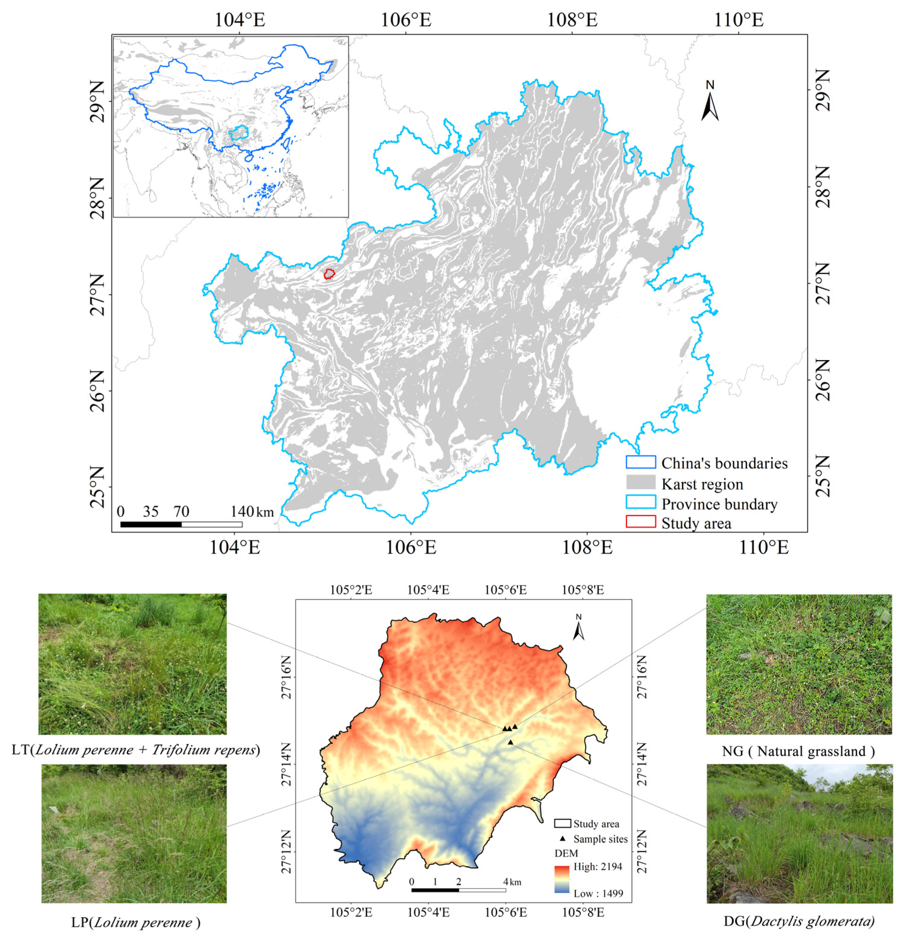 Agronomy, Free Full-Text