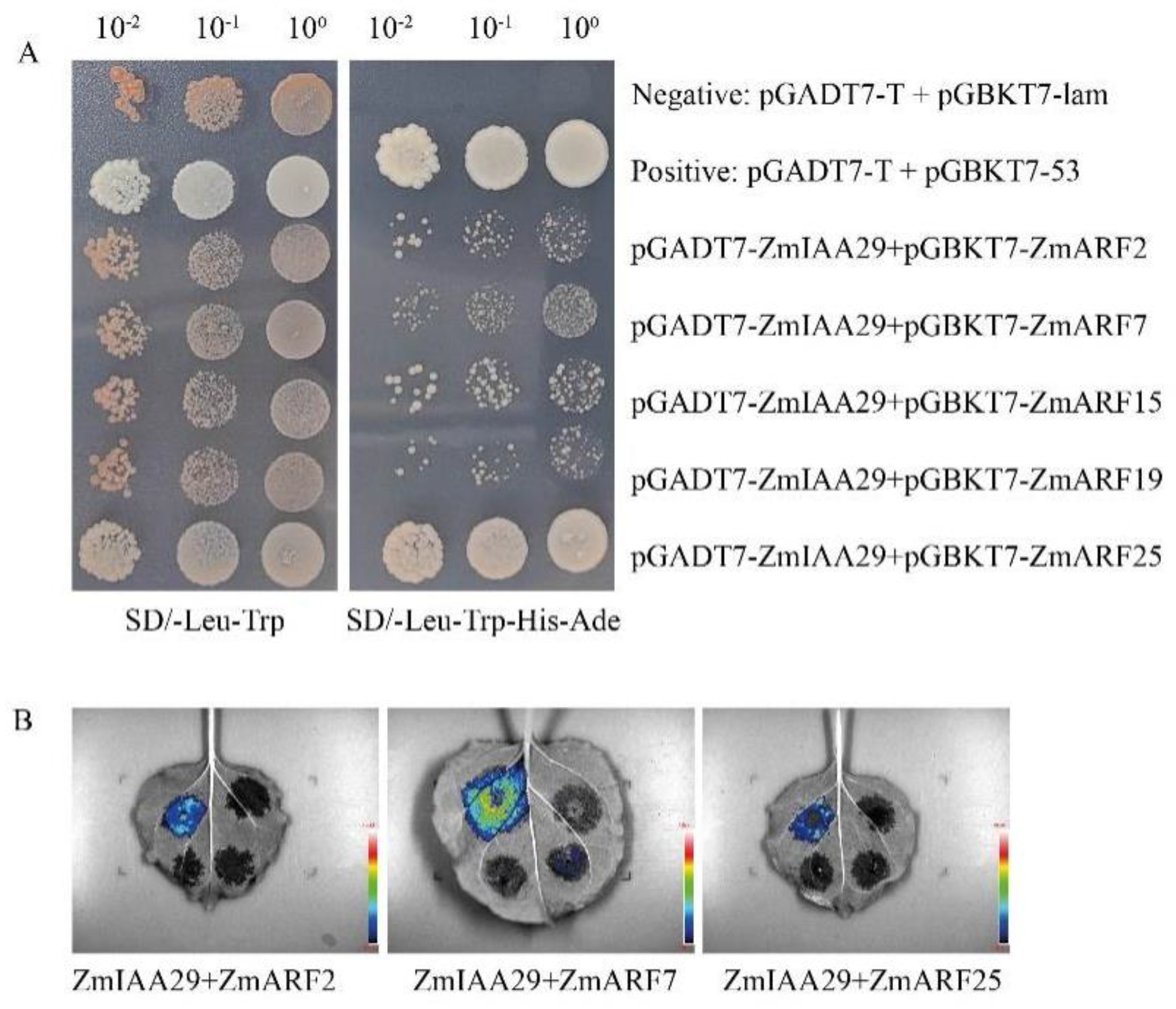 Agronomy 13 02028 g003