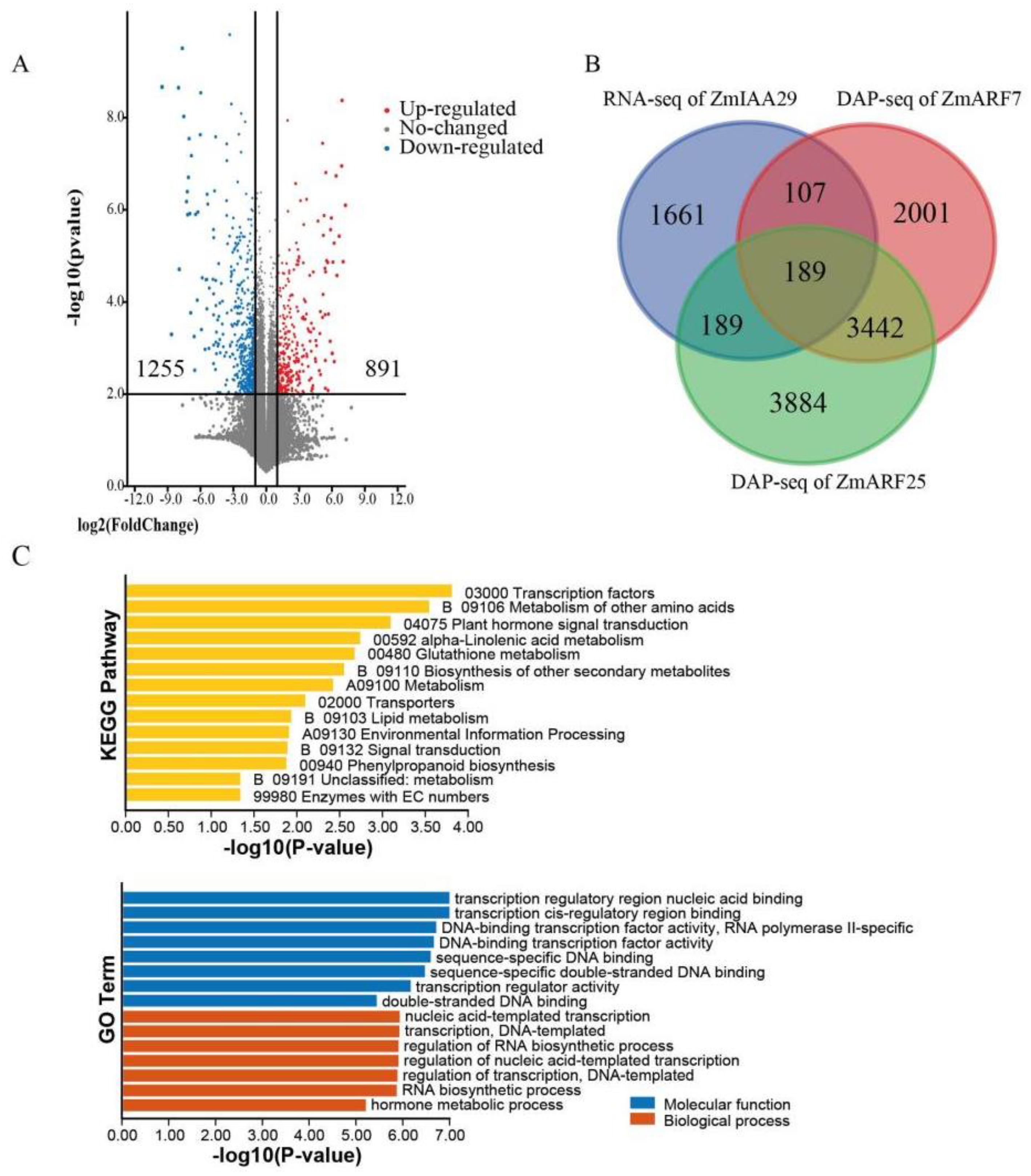 Agronomy 13 02028 g004