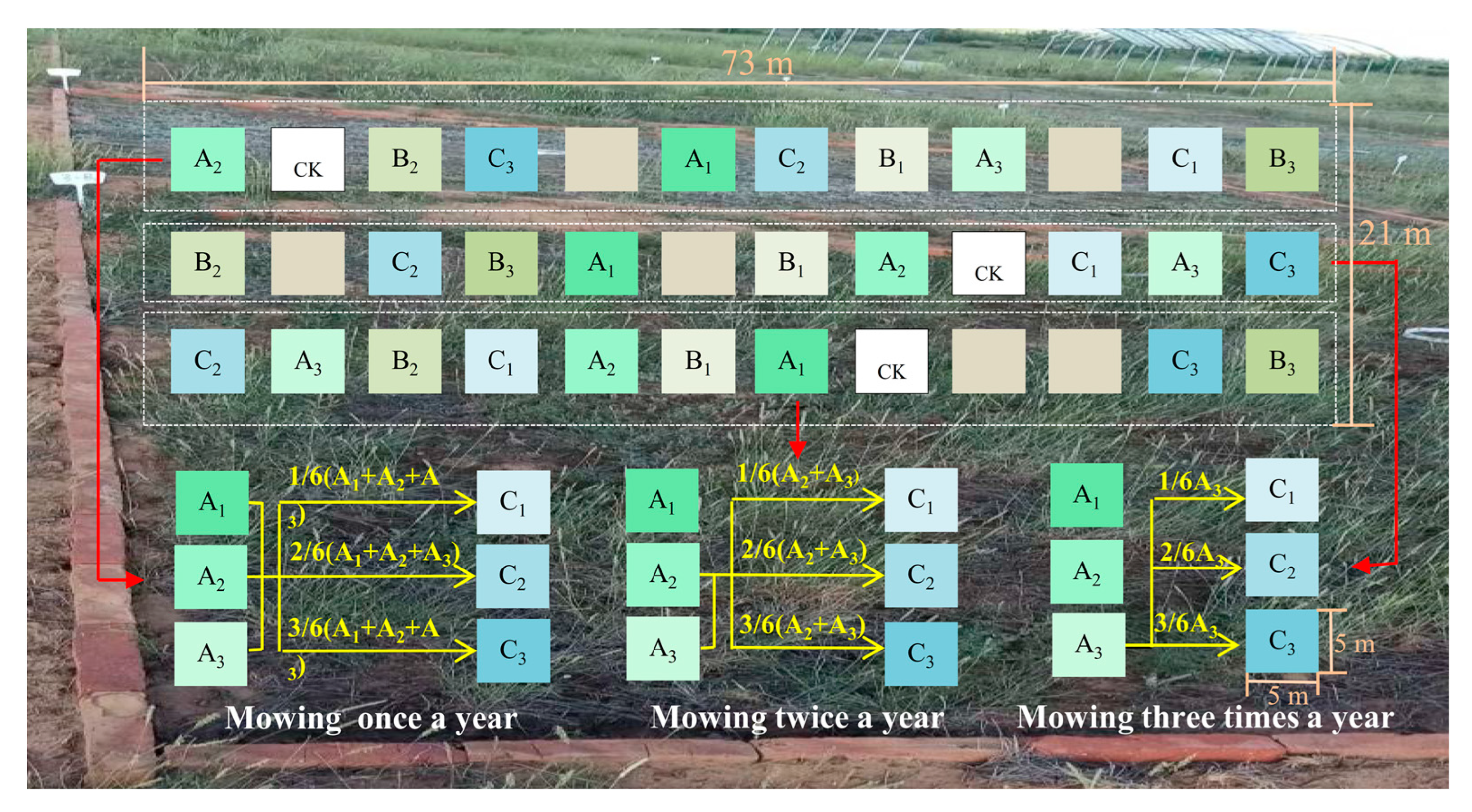 Agronomy 13 02029 g003