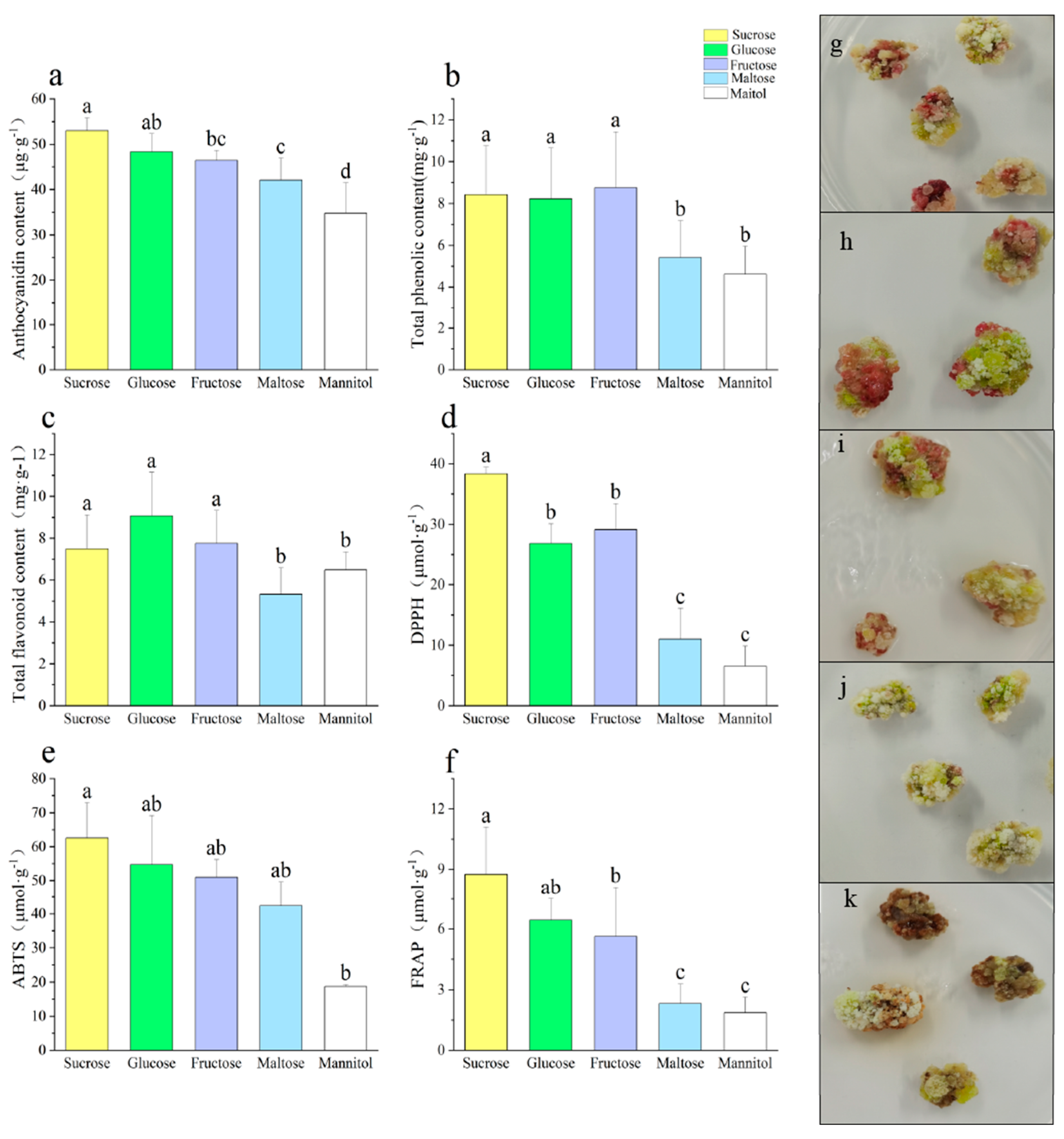Agronomy 13 02032 g001 Agronomy 13 02032 g001