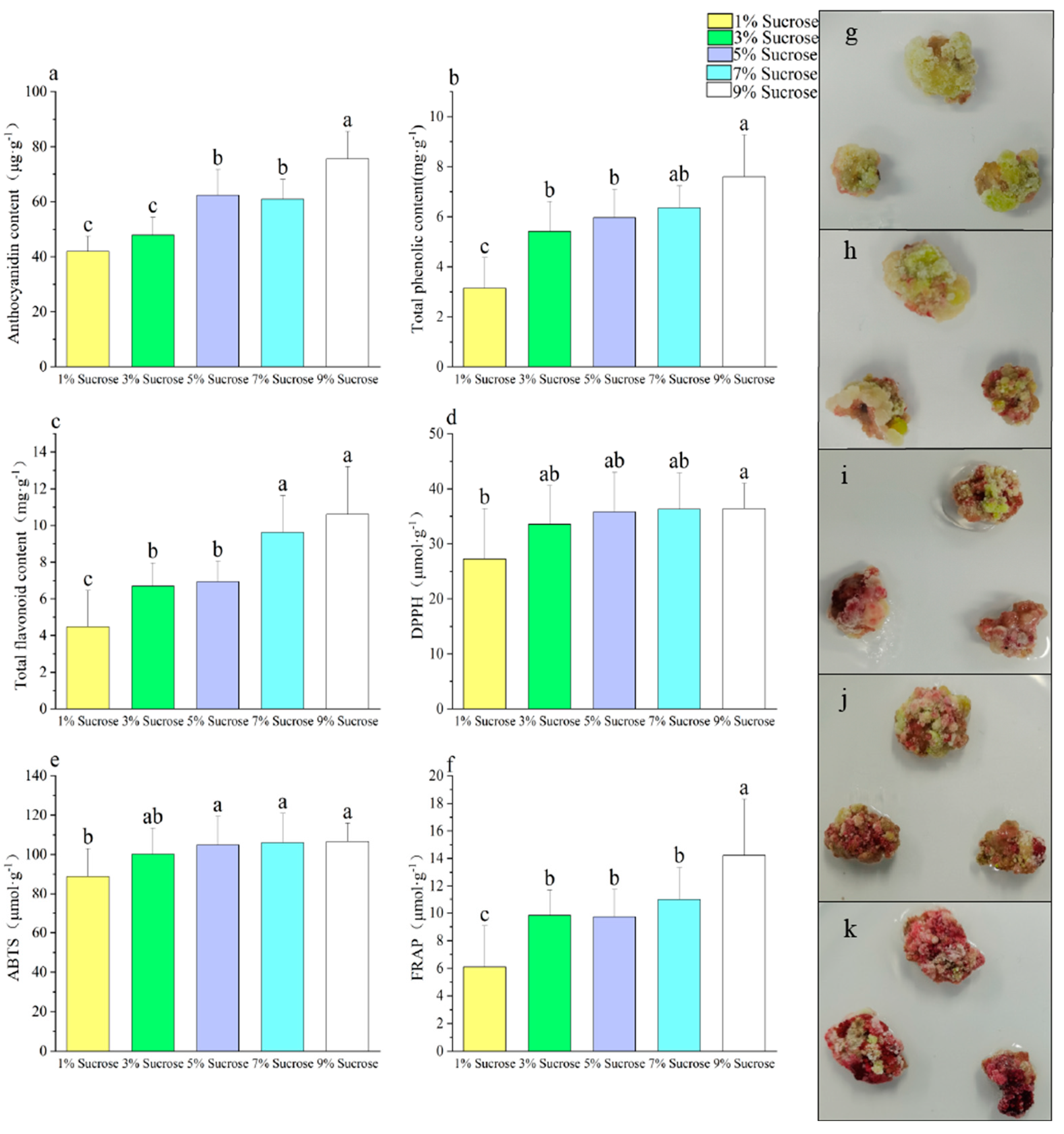 Agronomy 13 02032 g003 Agronomy 13 02032 g003