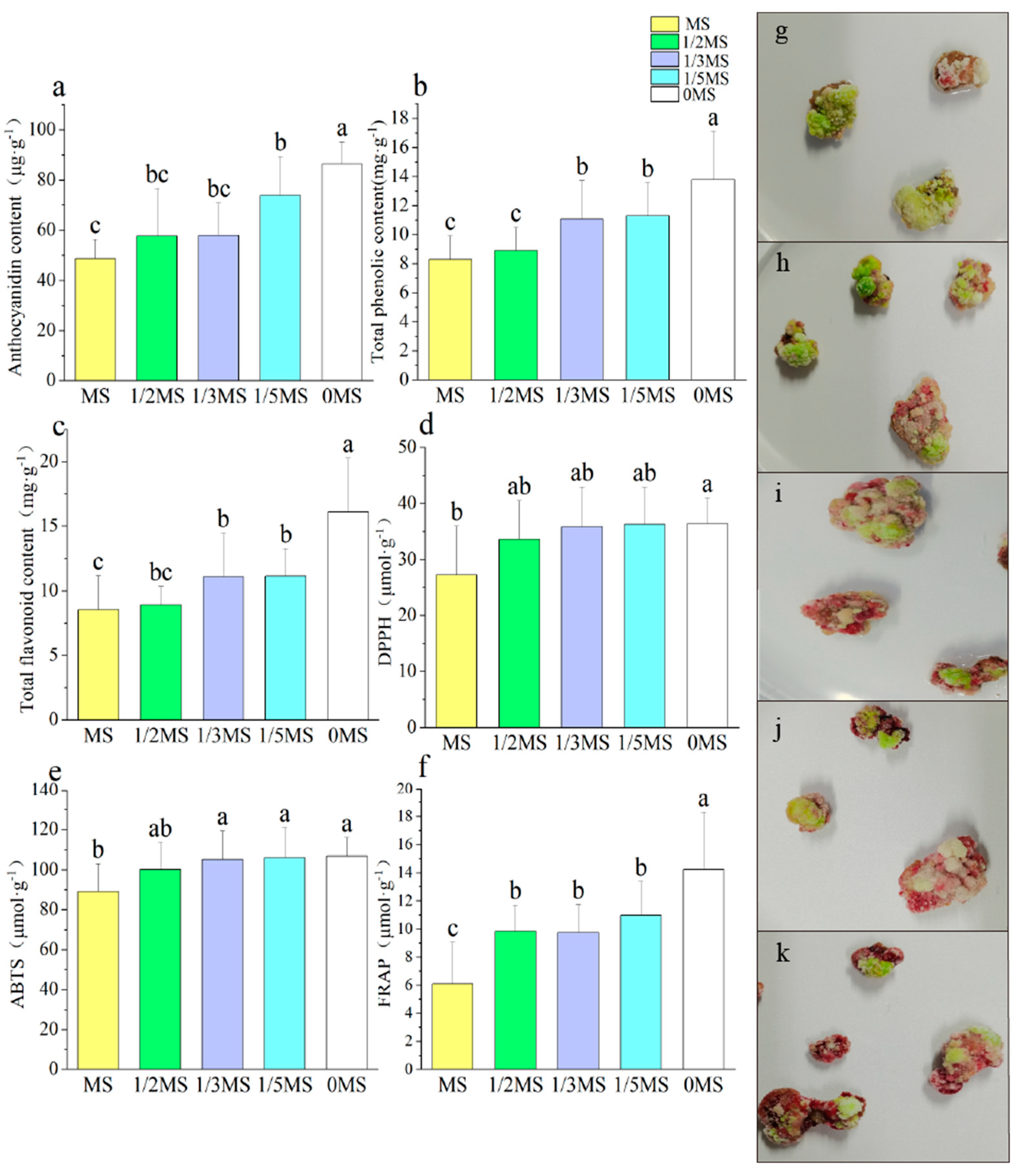 Agronomy 13 02032 g005 Agronomy 13 02032 g005