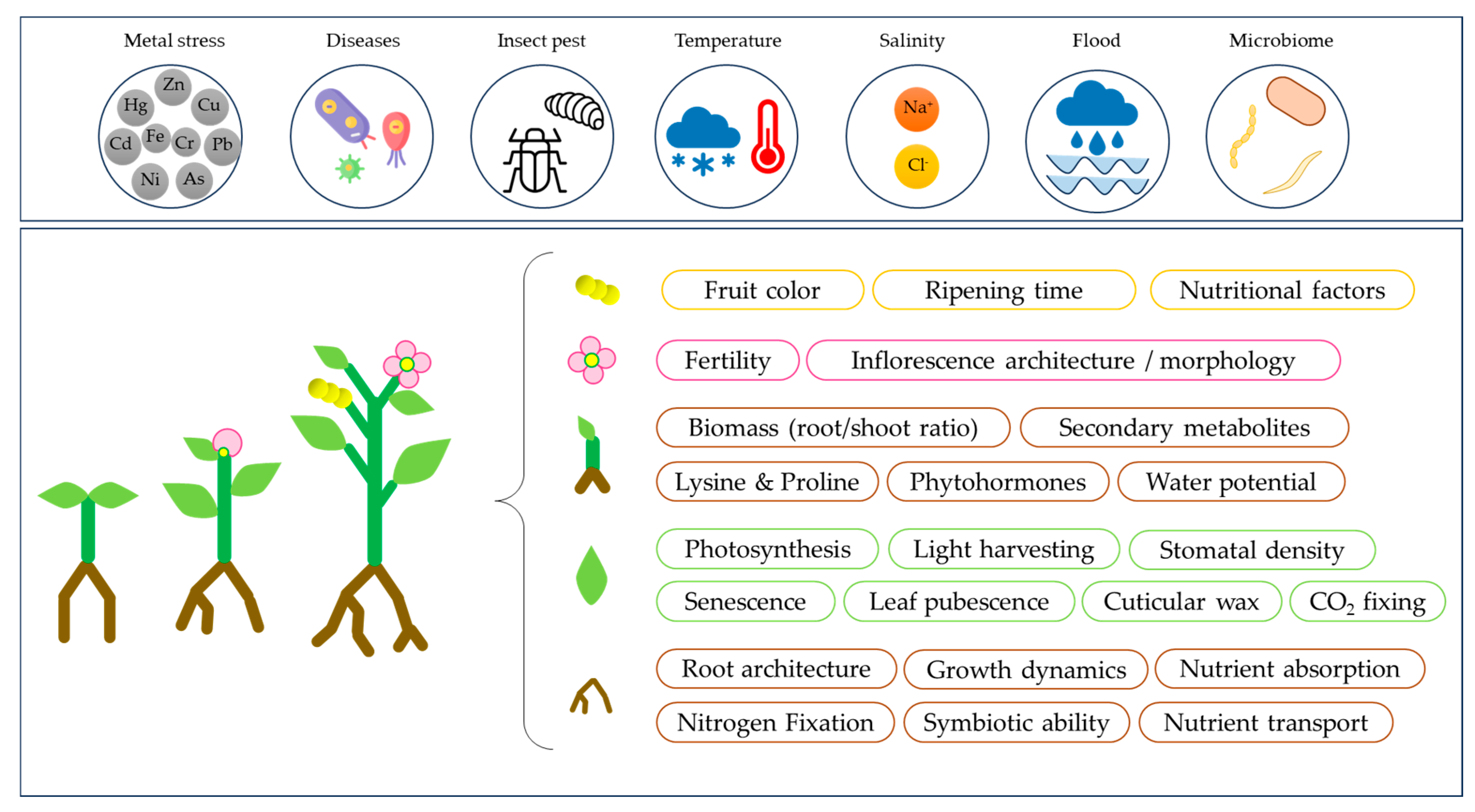 Agronomy 13 02065 g003