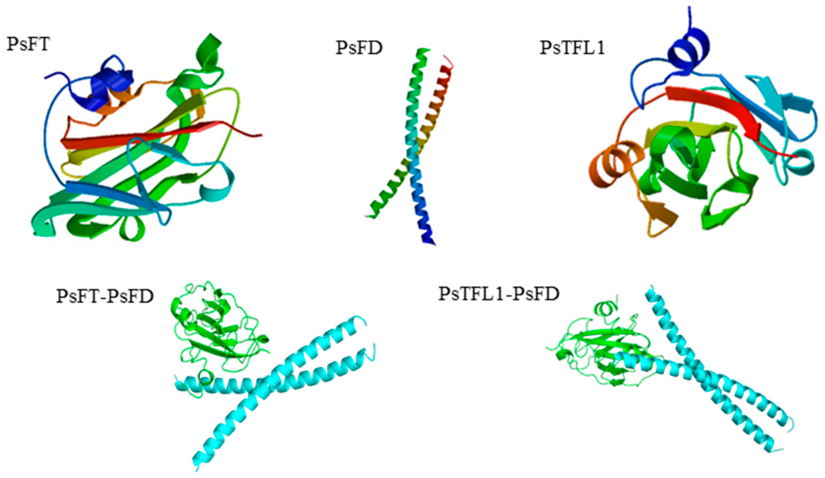 Agronomy 13 02071 g002 Agronomy 13 02071 g002