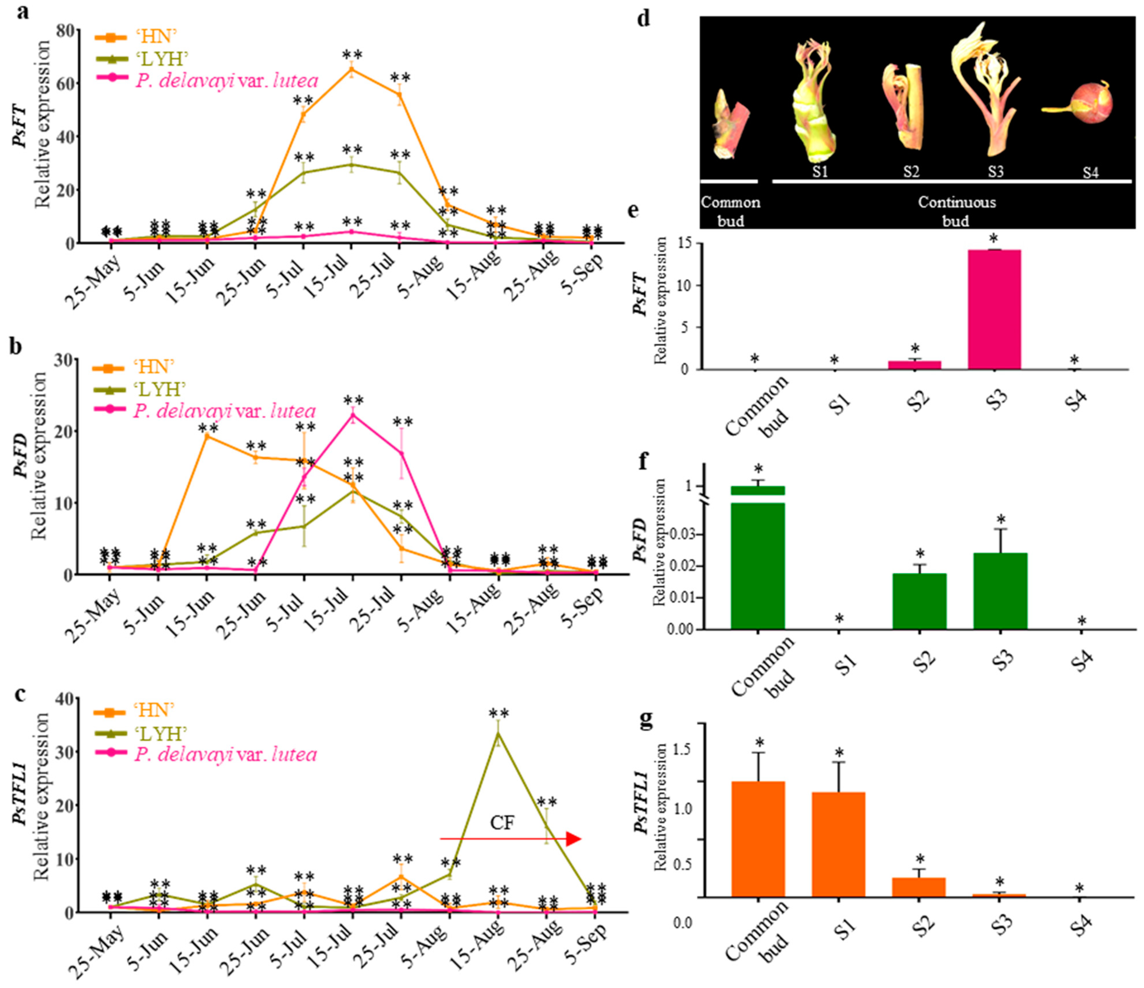 Agronomy 13 02071 g003 Agronomy 13 02071 g003