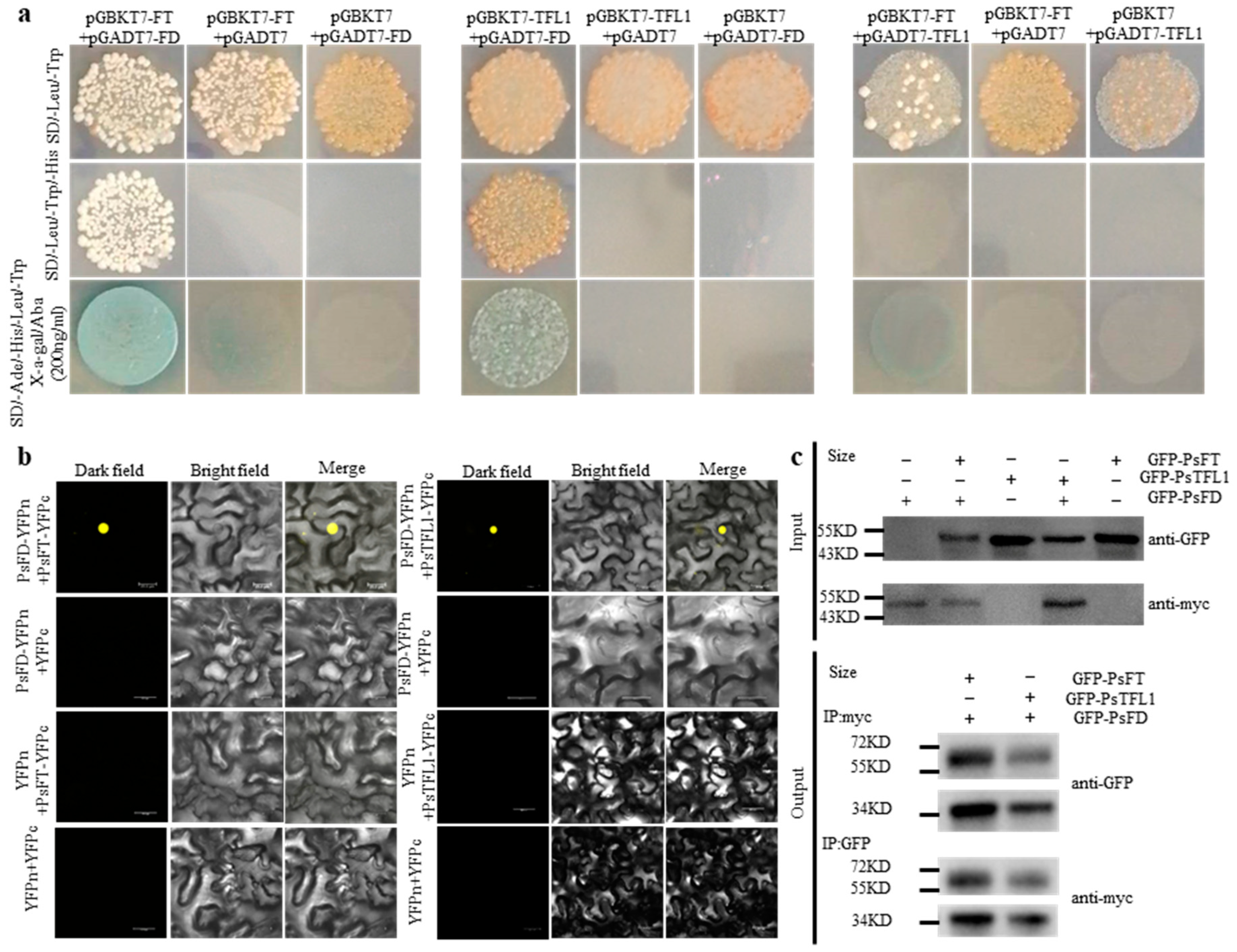 Agronomy 13 02071 g006 Agronomy 13 02071 g006