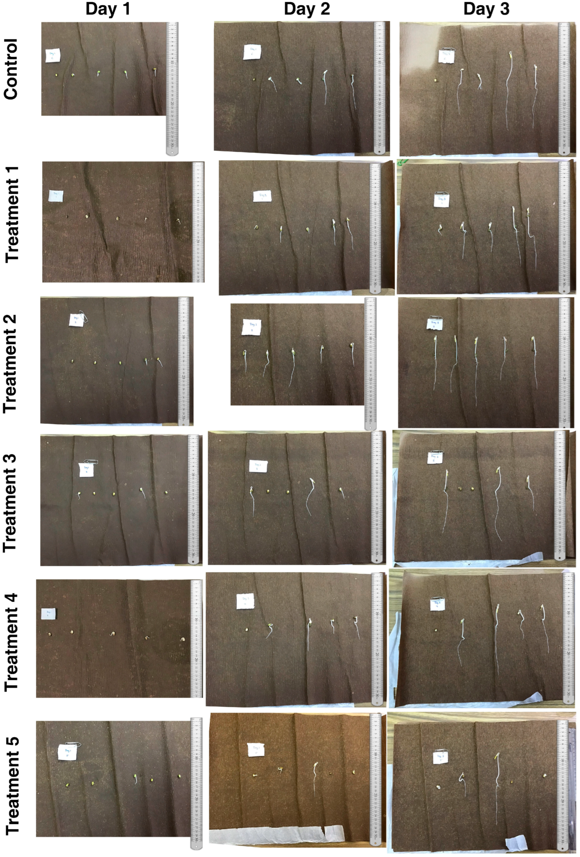 Agronomy 13 02073 g001