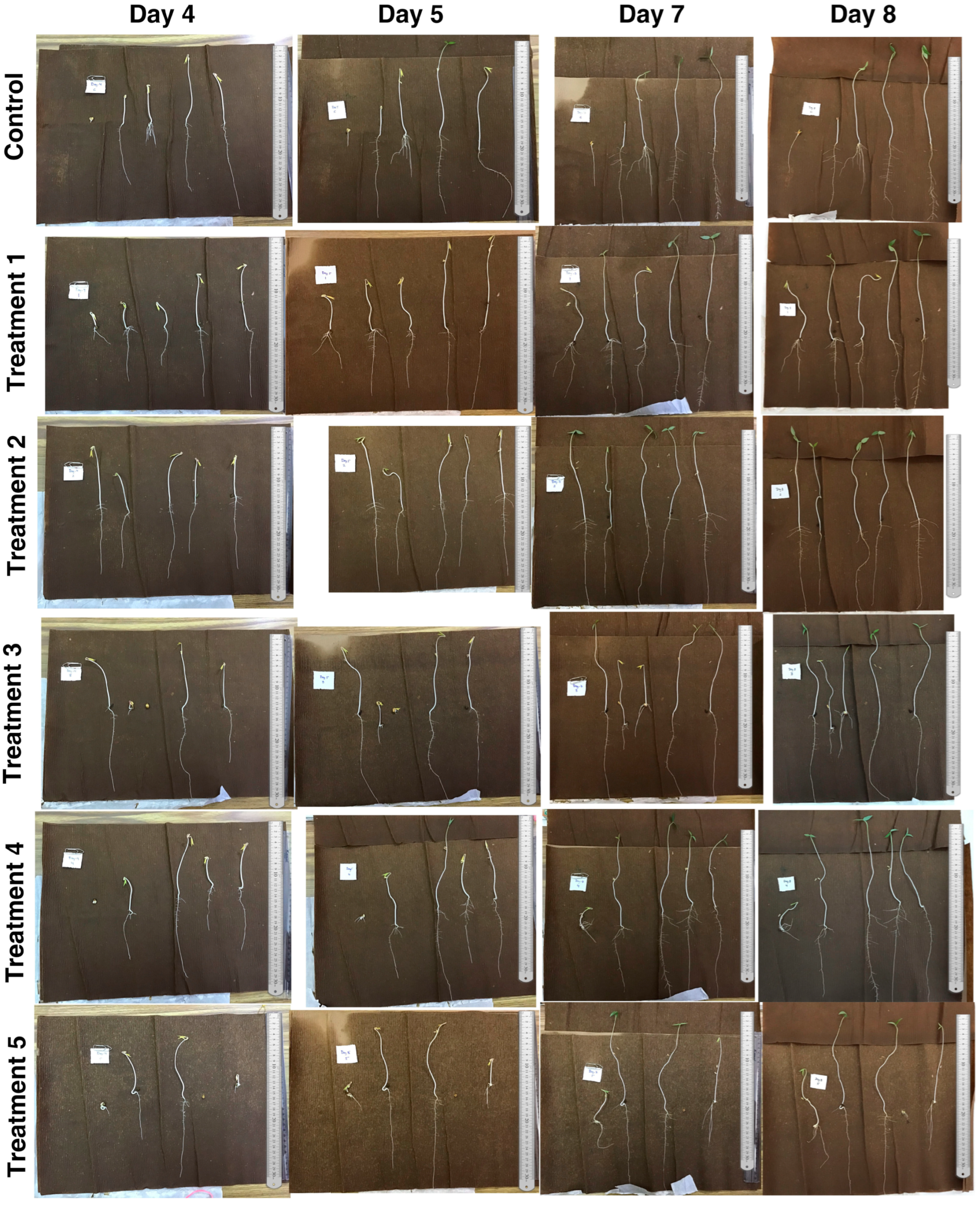 Agronomy 13 02073 g002