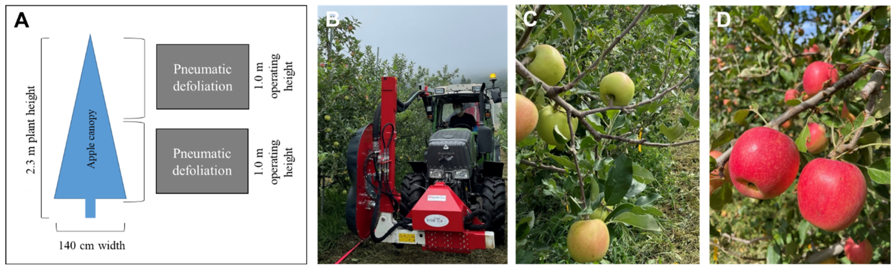 Agronomy 13 02078 g002 Agronomy 13 02078 g002