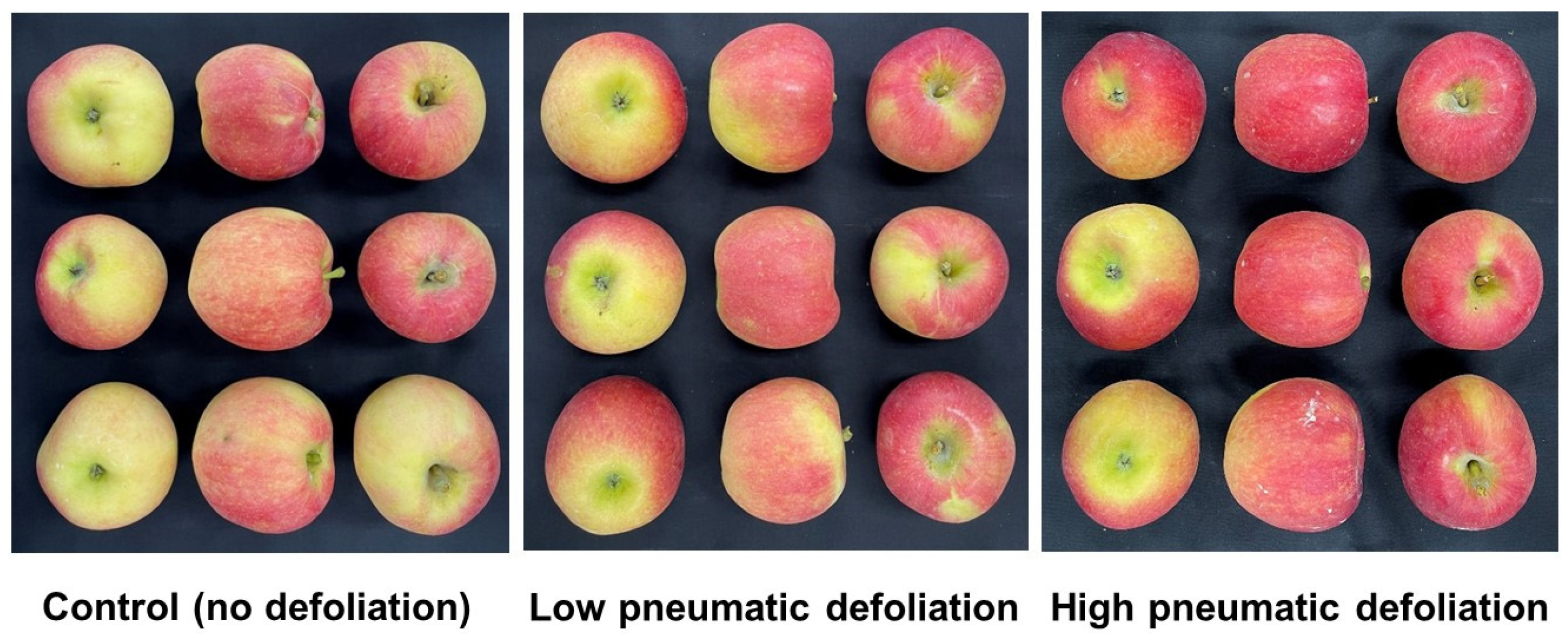 Agronomy 13 02078 g005 Agronomy 13 02078 g005