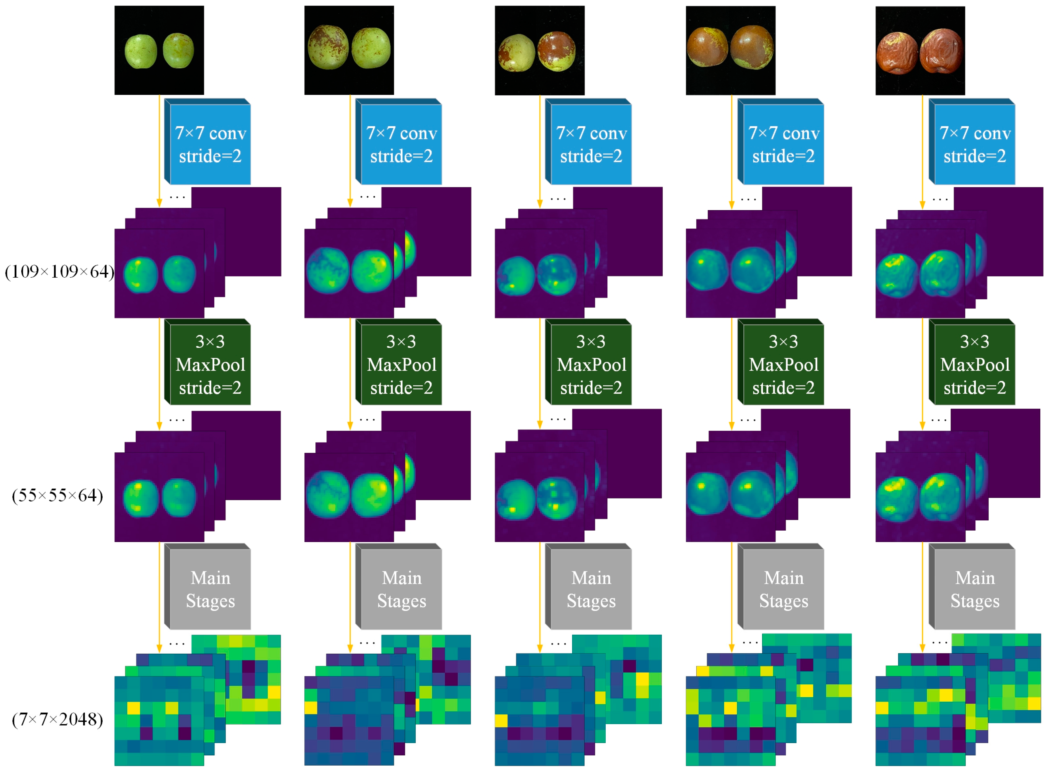 Agronomy 13 02095 g007 Agronomy 13 02095 g007
