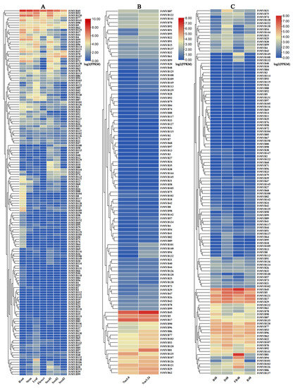 https://www.mdpi.com/agronomy/agronomy-13-02117/article_deploy/html/images/agronomy-13-02117-g005-550.jpg