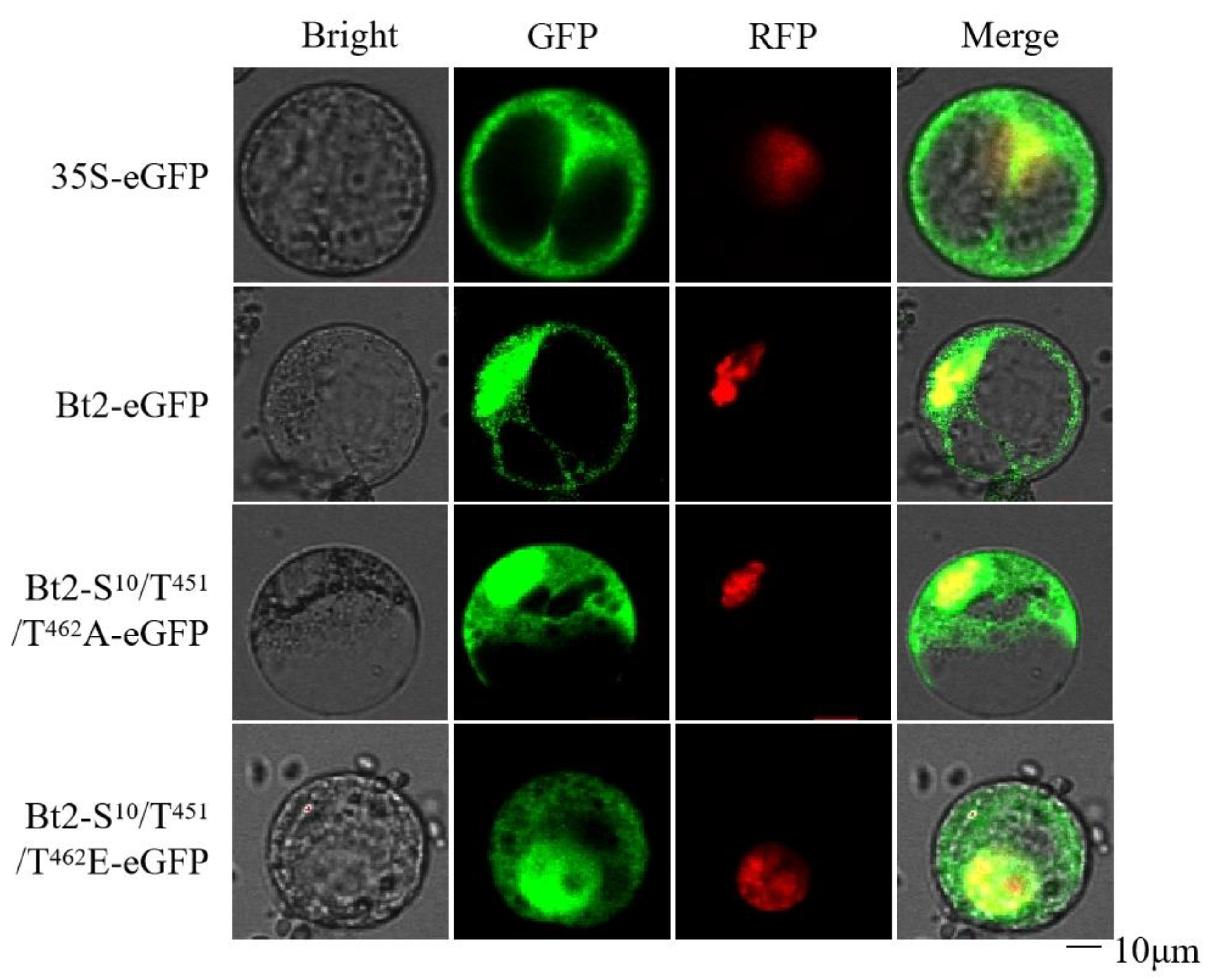 Agronomy 13 02119 g002 Agronomy 13 02119 g002