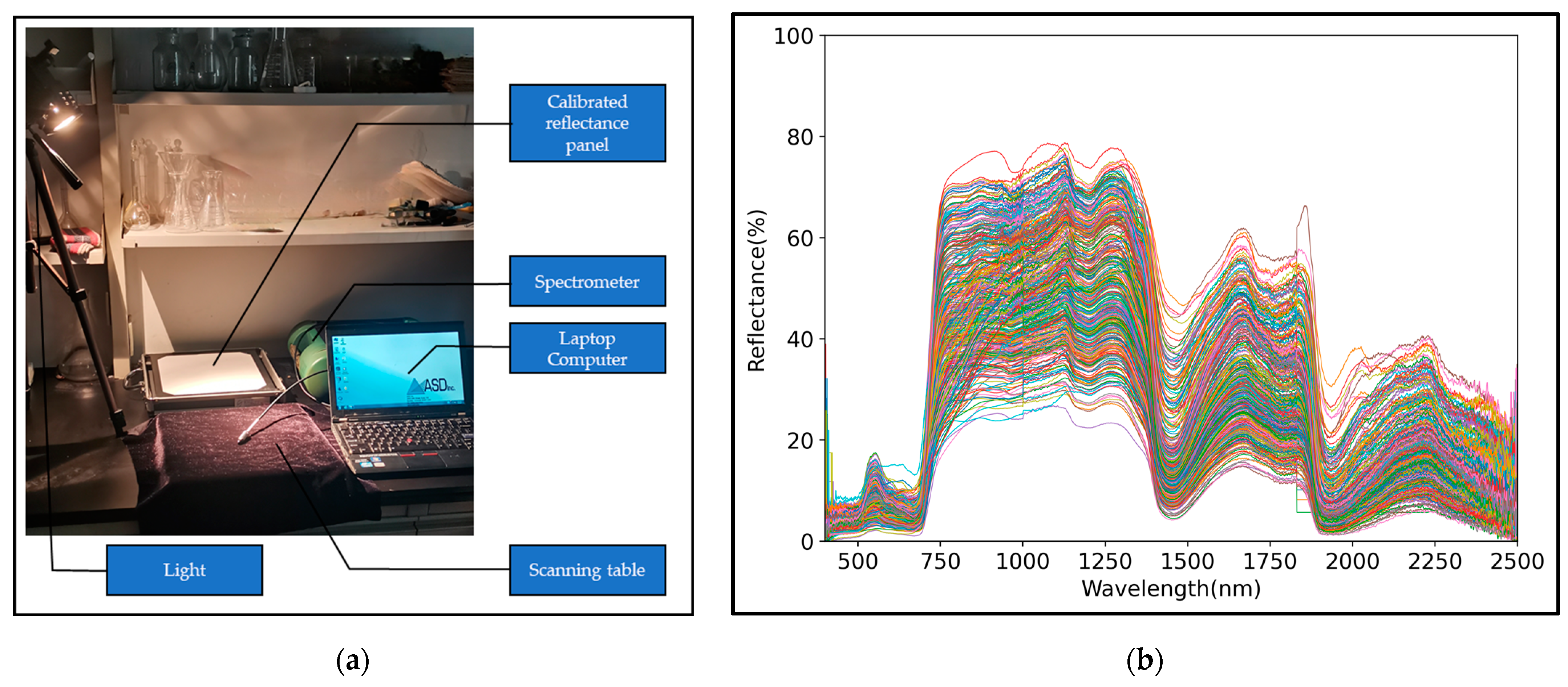 Agronomy 13 02137 g003 Agronomy 13 02137 g003