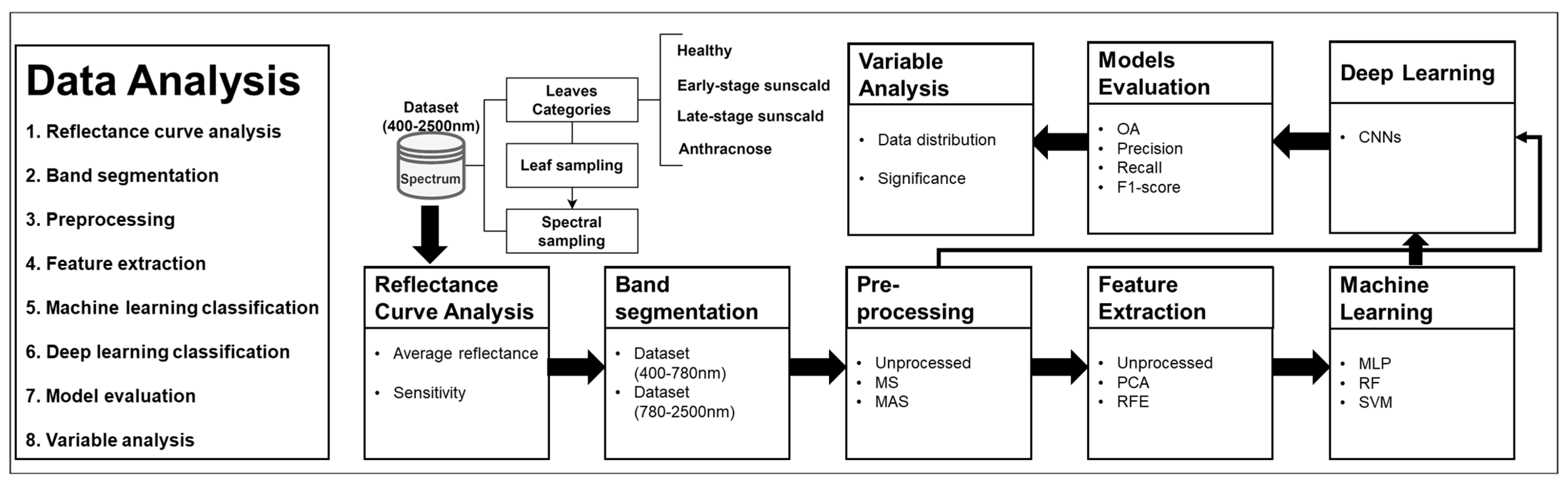 Agronomy 13 02137 g004 Agronomy 13 02137 g004