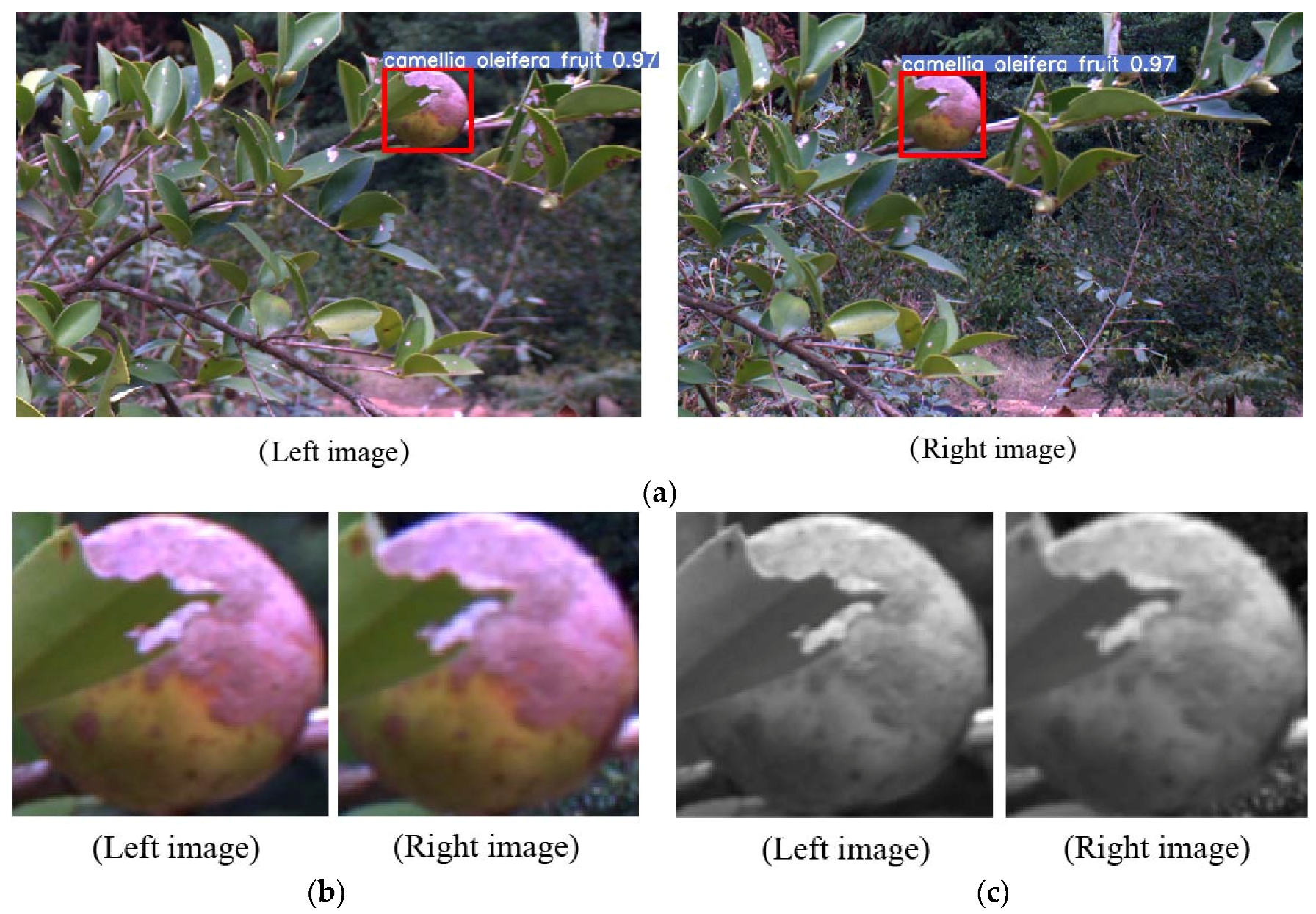 Agronomy 13 02153 g002a