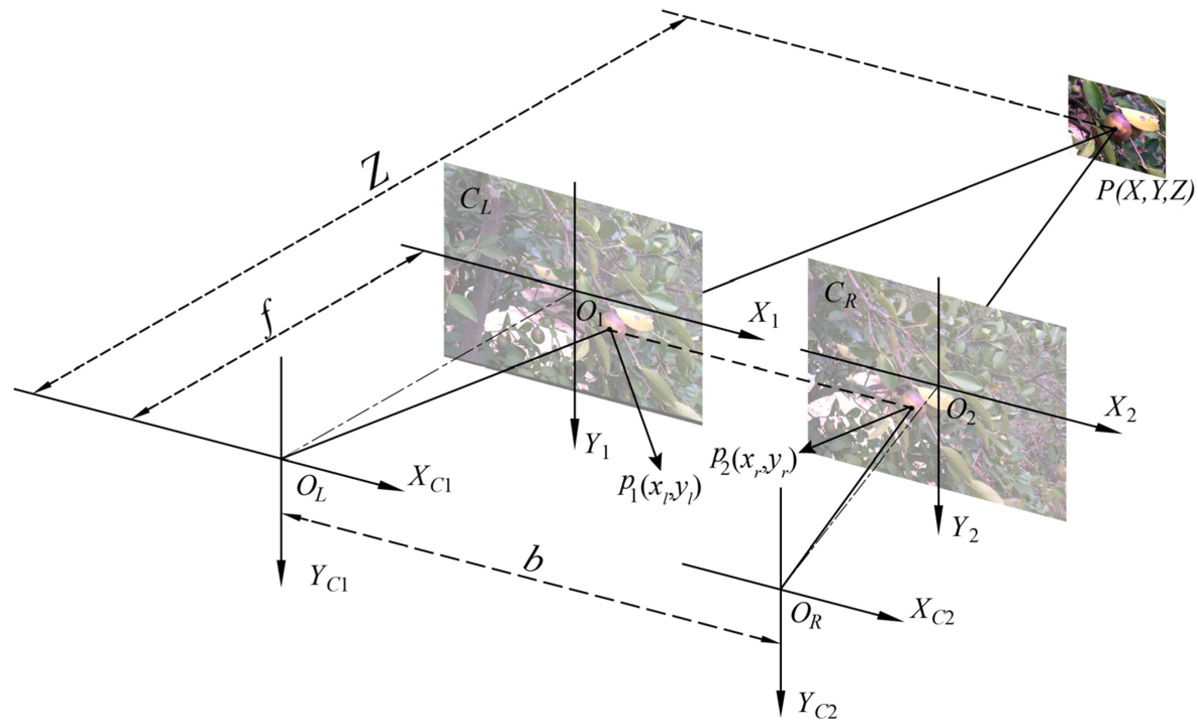 Agronomy 13 02153 g003