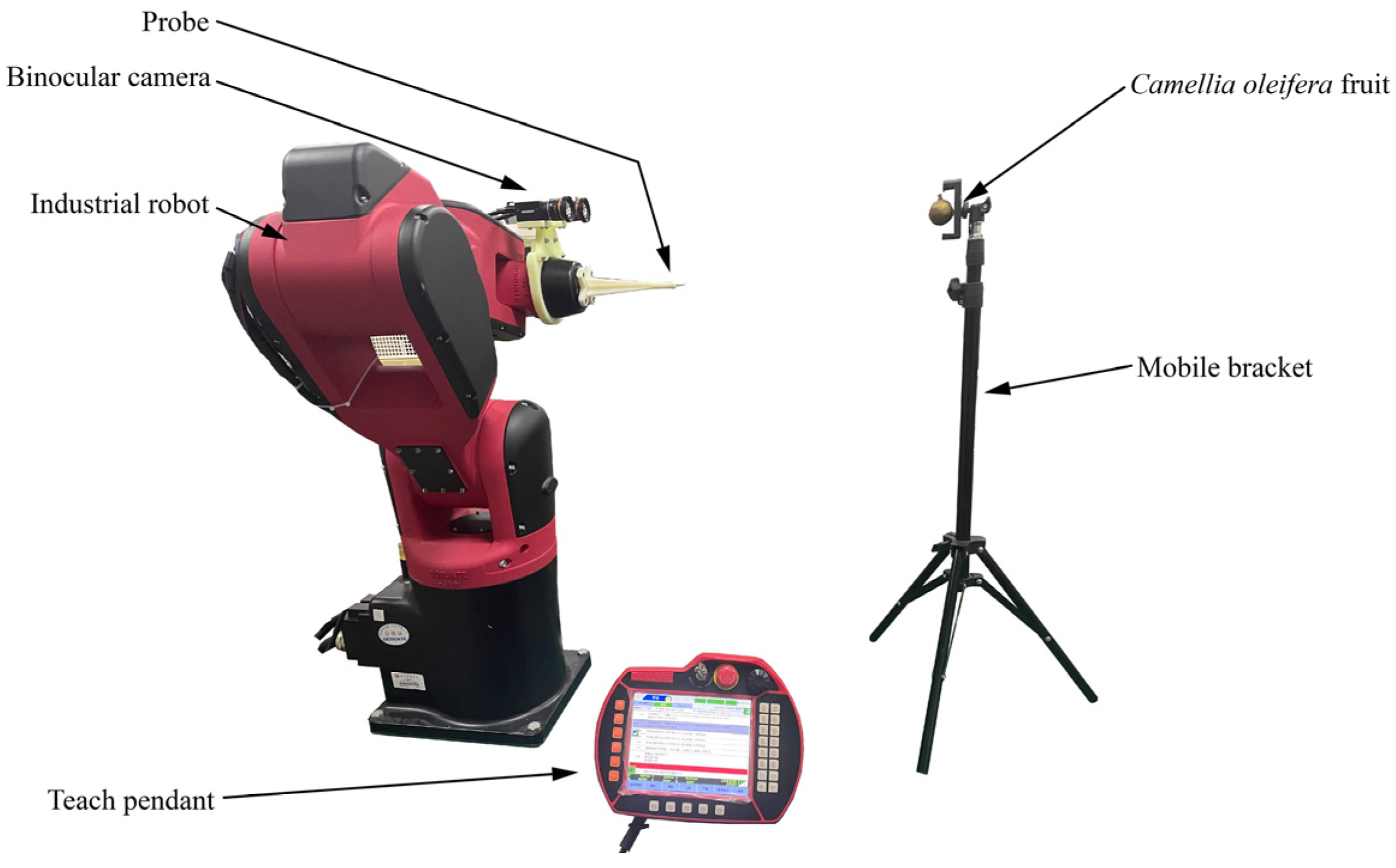 Agronomy 13 02153 g006