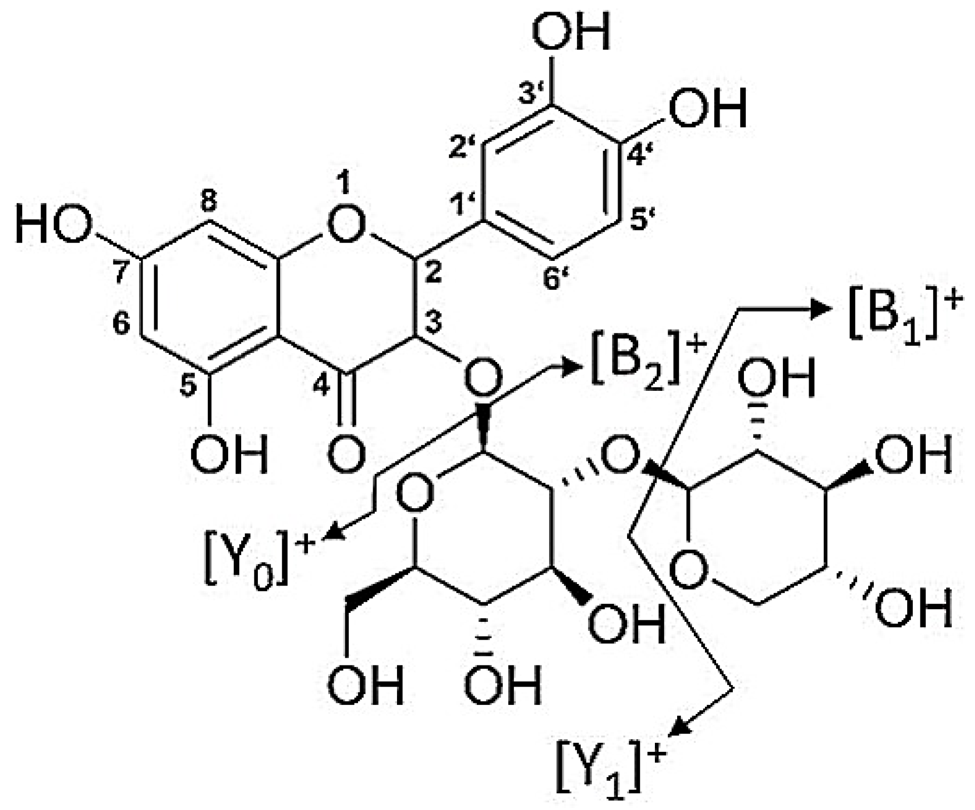 Agronomy 13 02170 g002